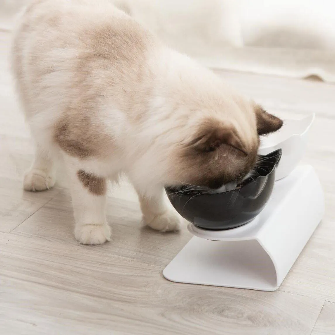 Anti-Vomiting Orthopedic Cat Bowl