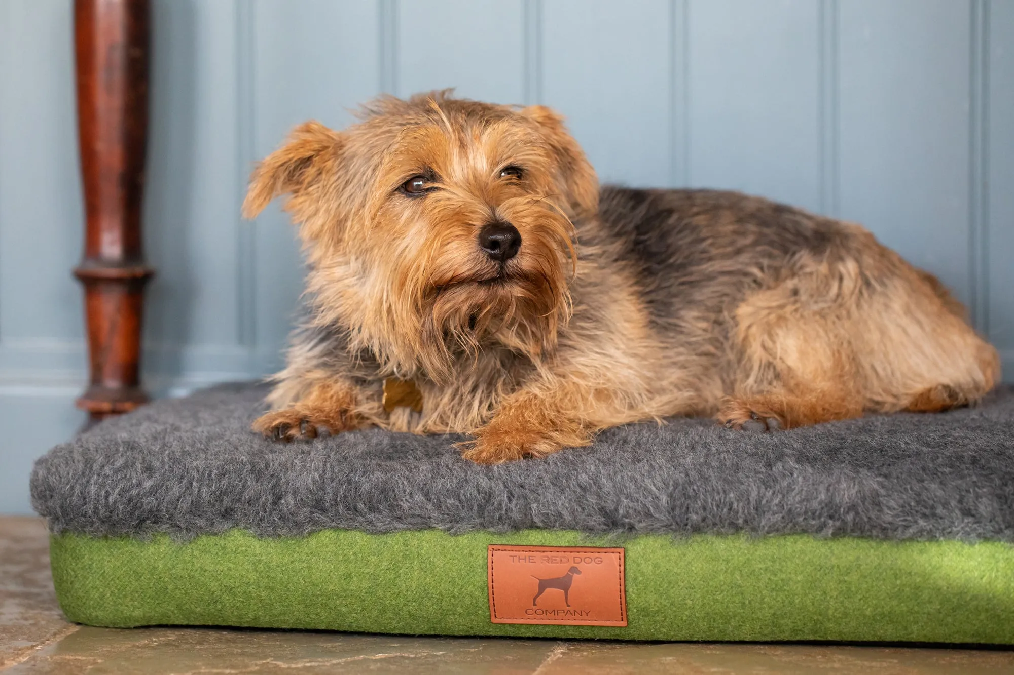 Apple Green Dog Mat