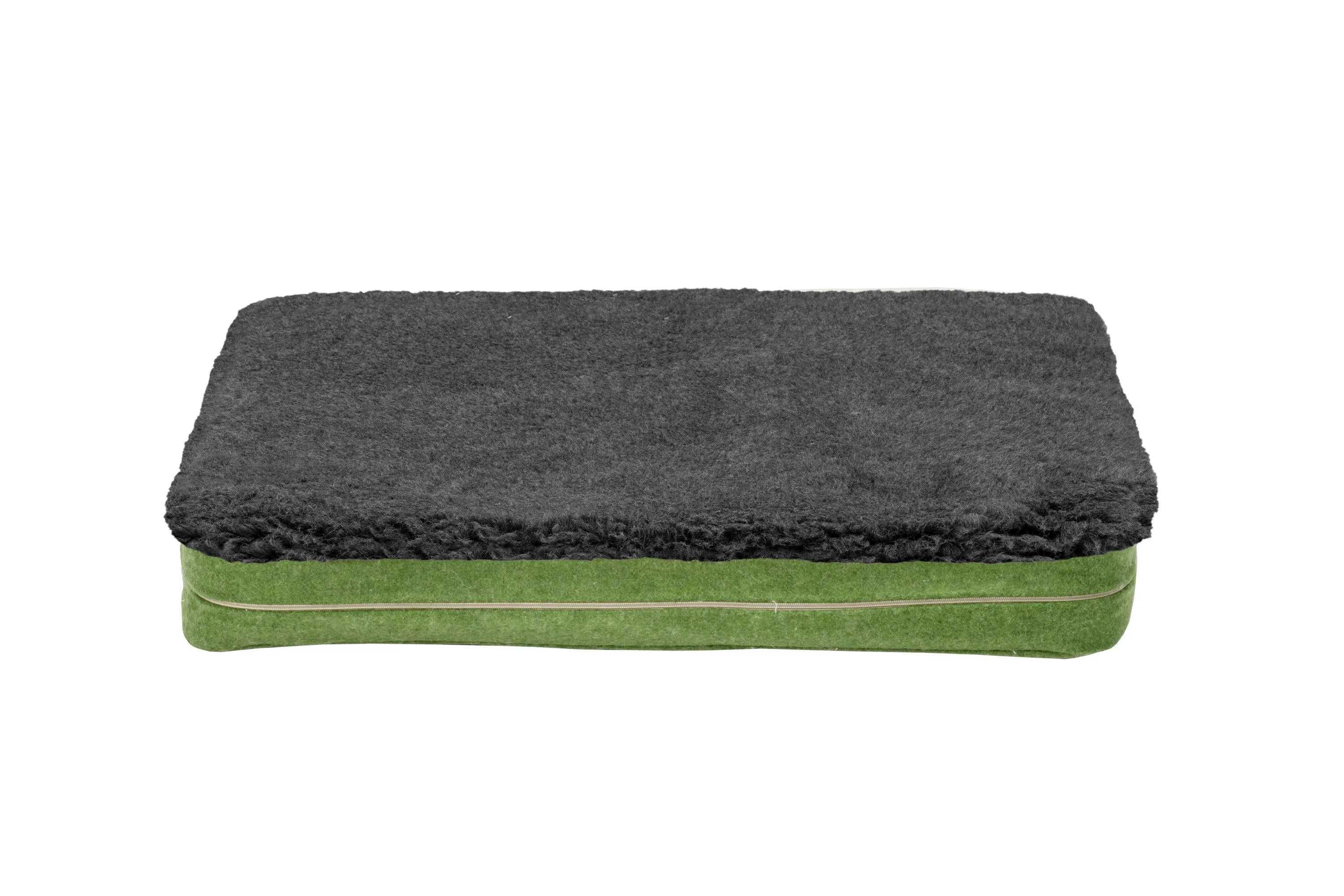 Apple Green Dog Mat