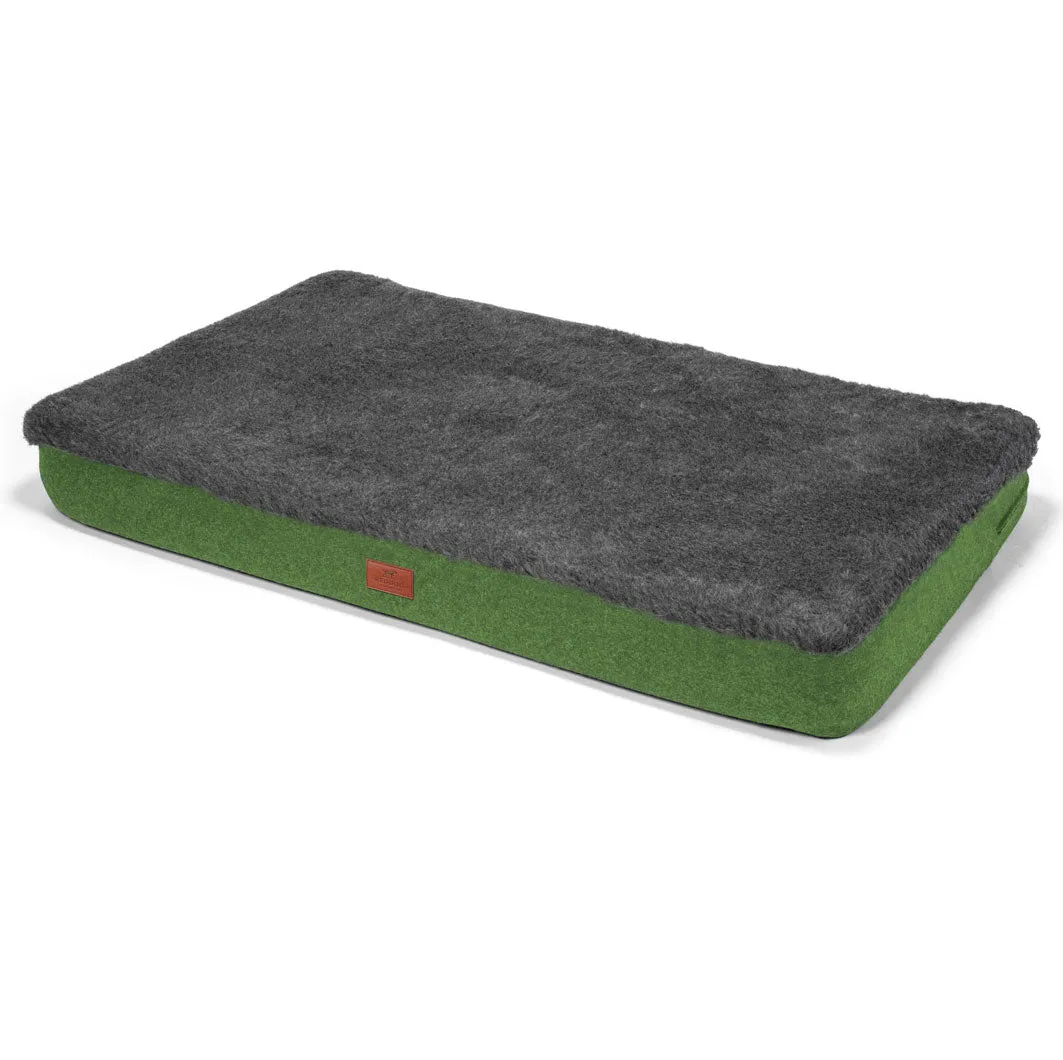 Apple Green Dog Mat