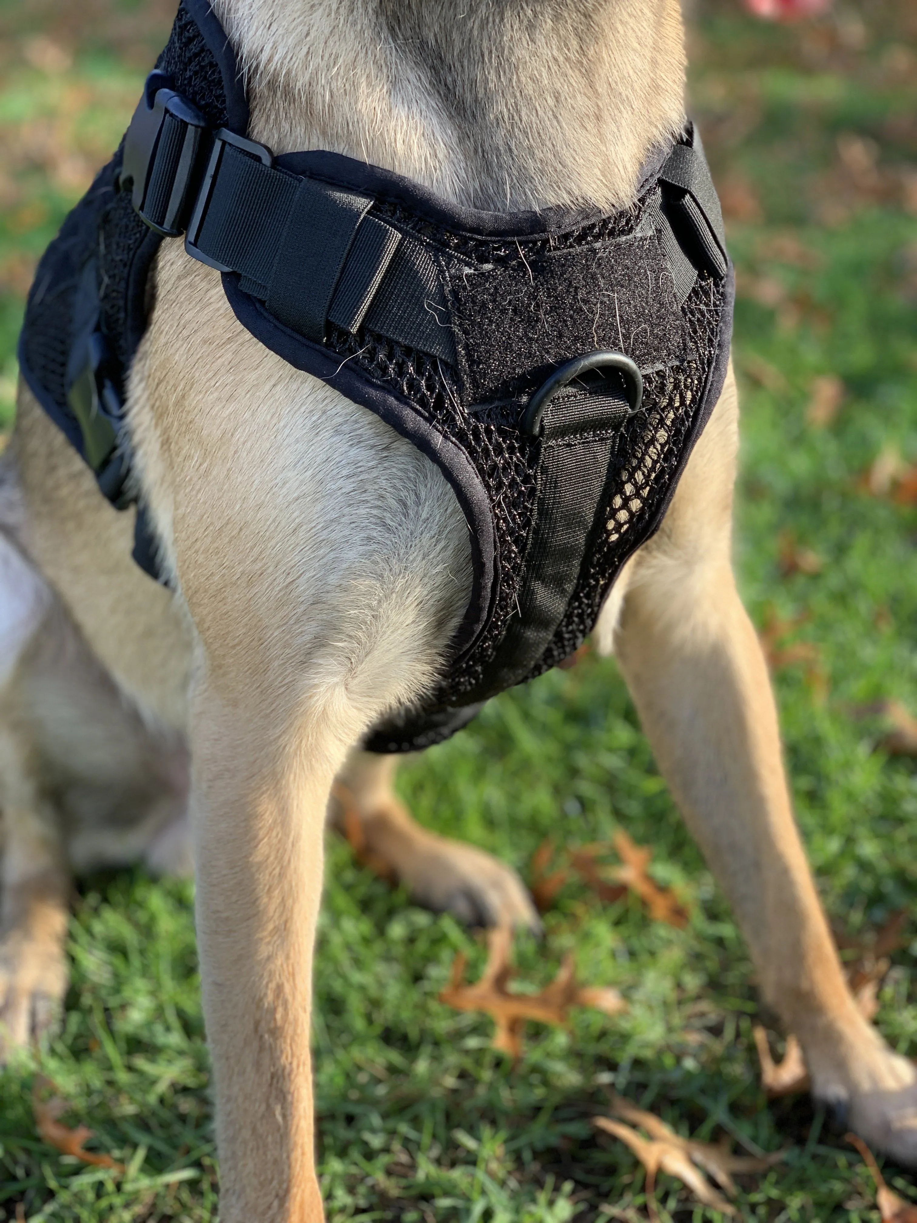 Artemis Dog Harness - No Pull No Tug No Choke Adjustable Breathable K-9 by 221B Tactical