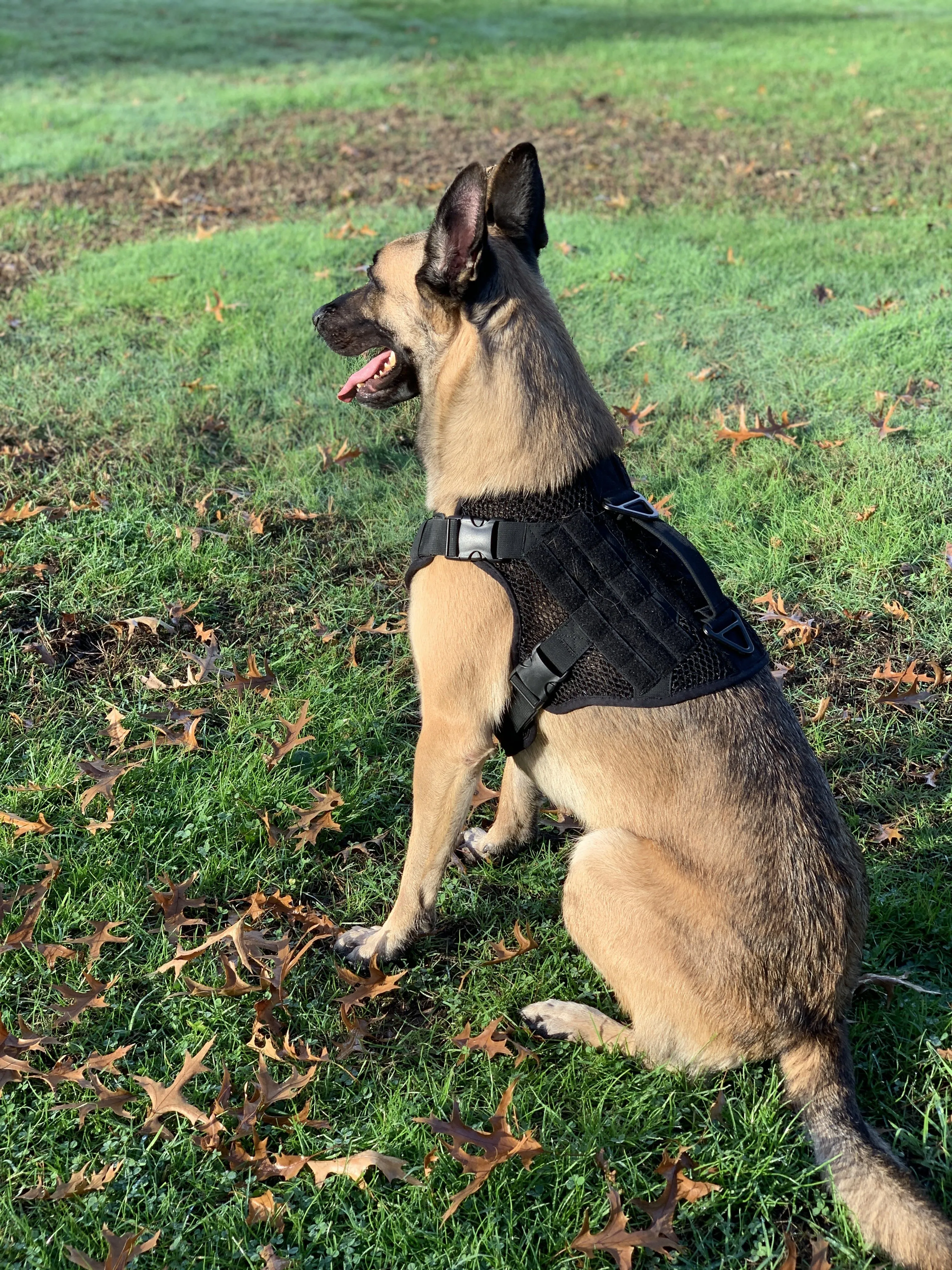 Artemis Dog Harness - No Pull No Tug No Choke Adjustable Breathable K-9 by 221B Tactical