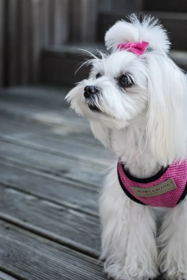 Bowl and Bone Candy Pink Dog Harness And Lead Set