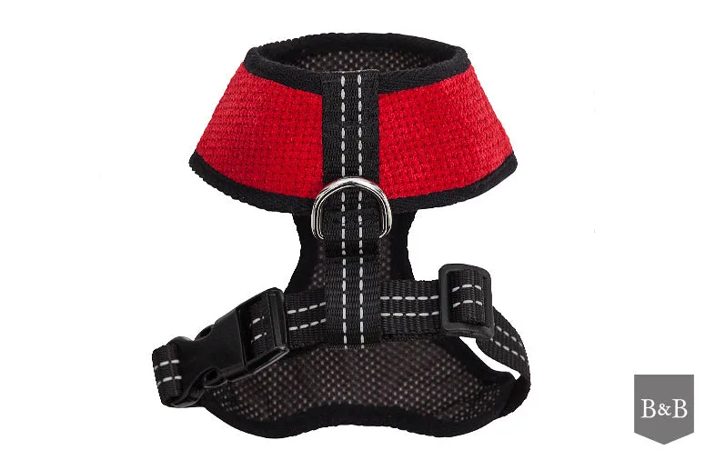 Bowl and Bone Candy Red Dog Harness And Lead Set