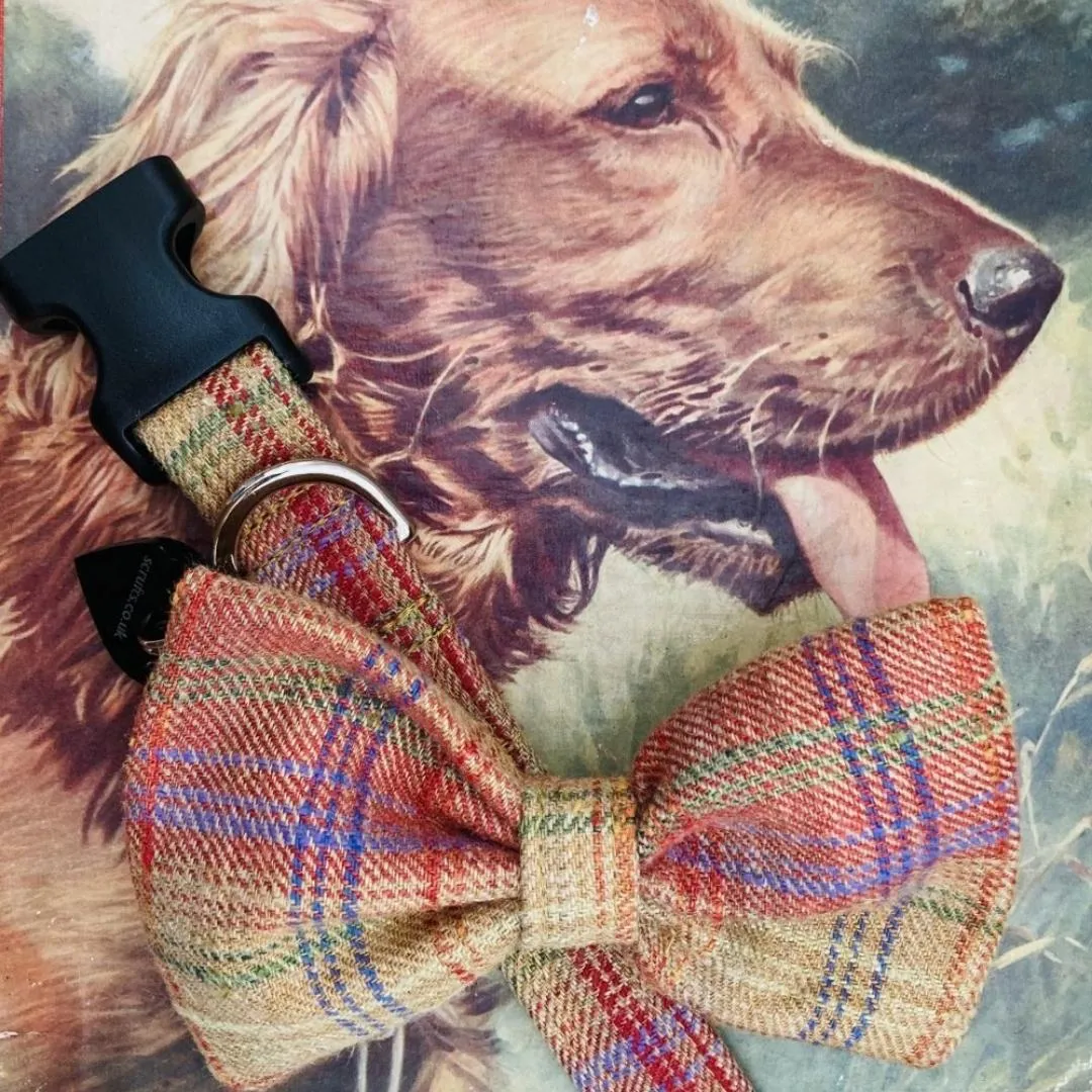 Cinnabar Tweed Dog Collar With Detachable Bow Tie