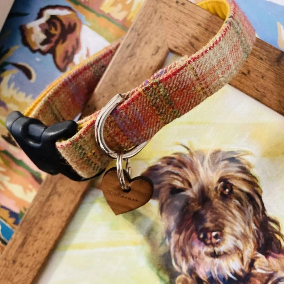 Cinnabar Tweed Dog Collar With Detachable Bow Tie