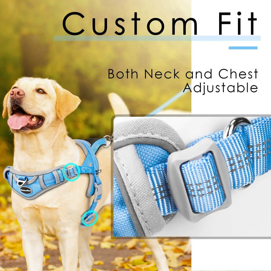 Dog Vest Harness - Dog Harness with handle - Anti-Pull Function - AdventureMore