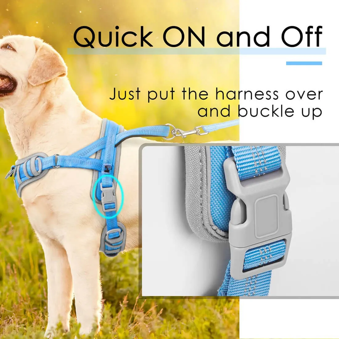 Dog Vest Harness - Dog Harness with handle - Anti-Pull Function - AdventureMore