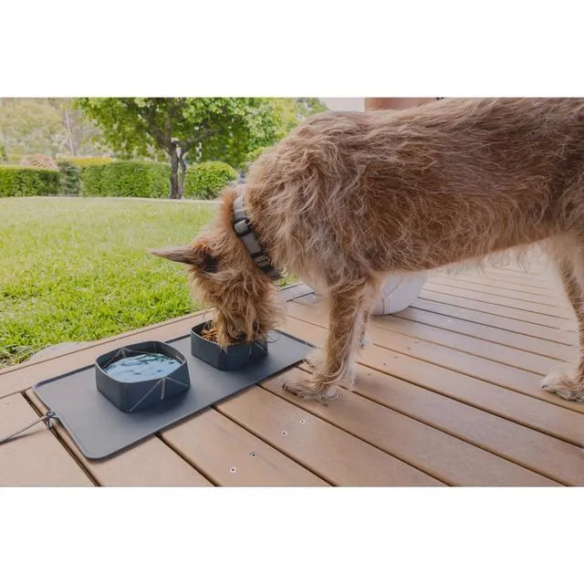 EzyDog Roll-a-Bowl Travel Dog Bowl^^^