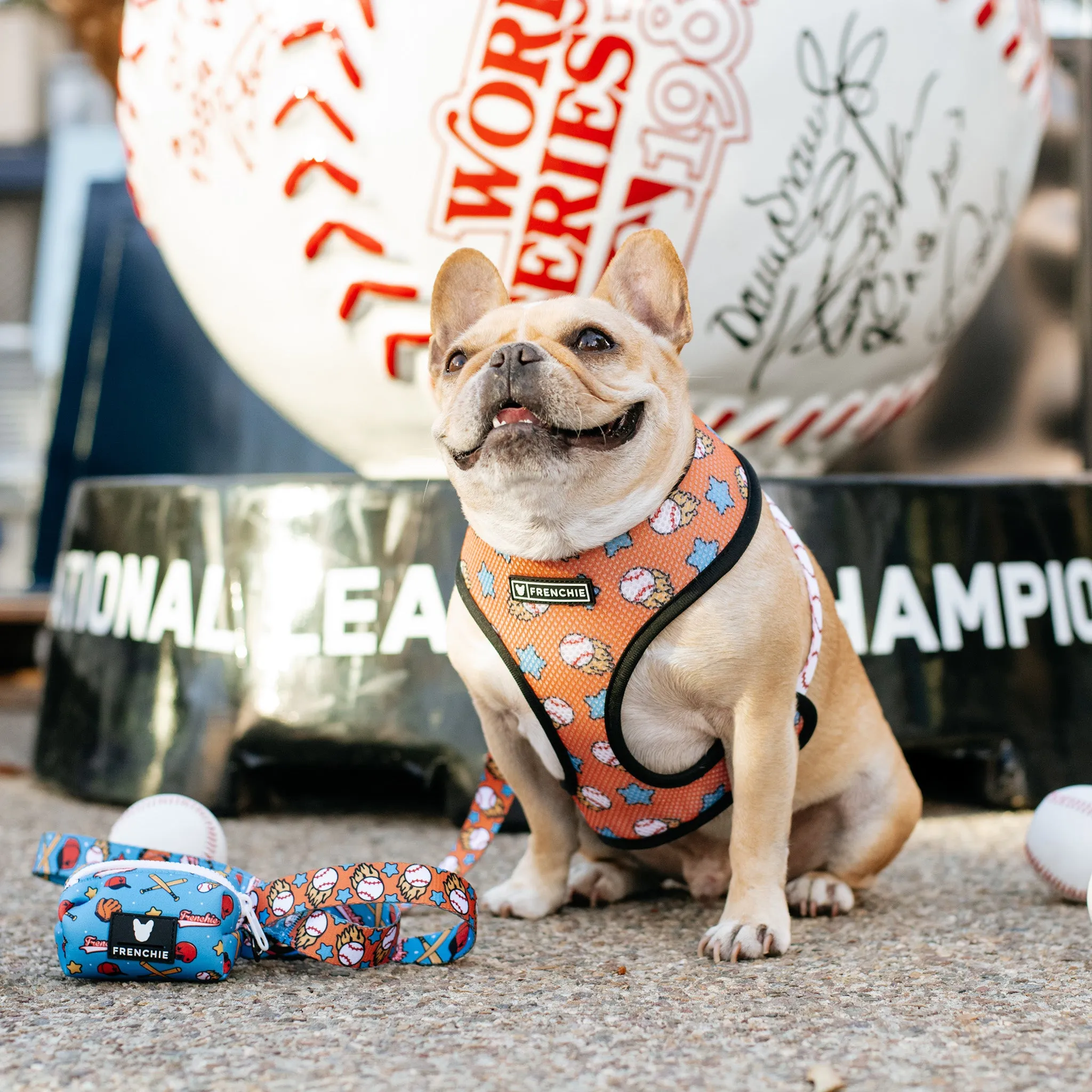 Frenchie Duo Reversible Harness - Batter Up