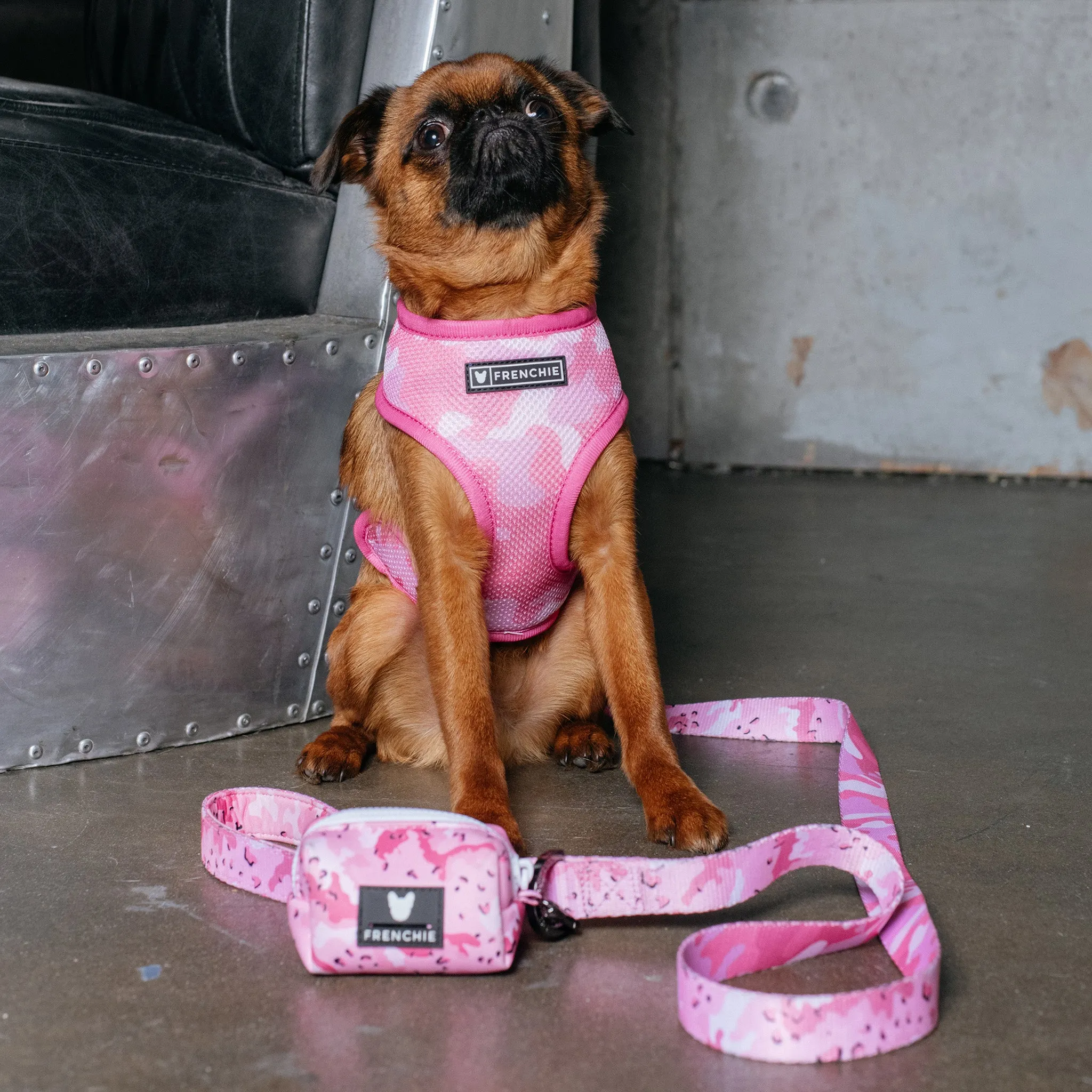 Frenchie Duo Reversible Harness - Desert Camo (Pink)