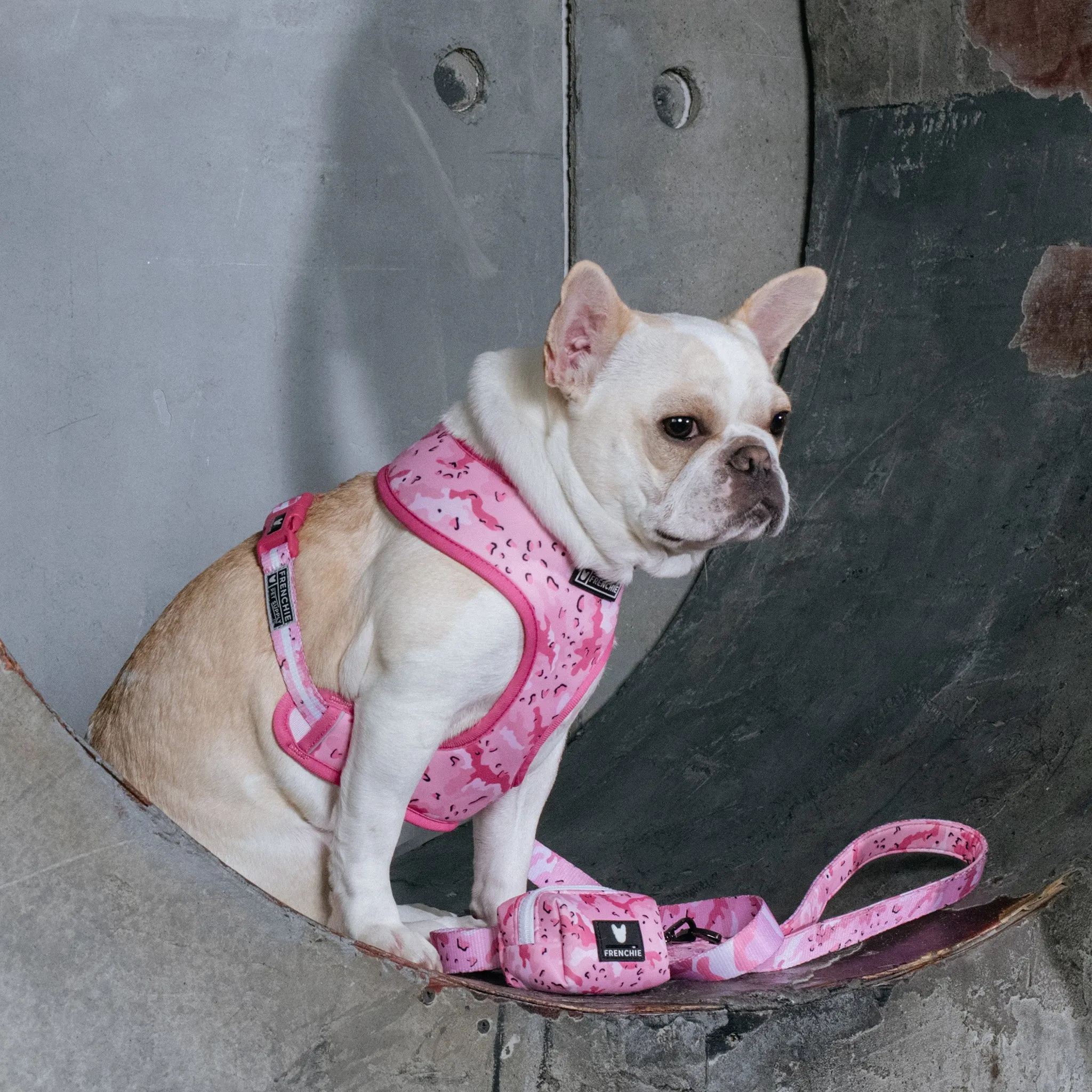 Frenchie Duo Reversible Harness - Desert Camo (Pink)