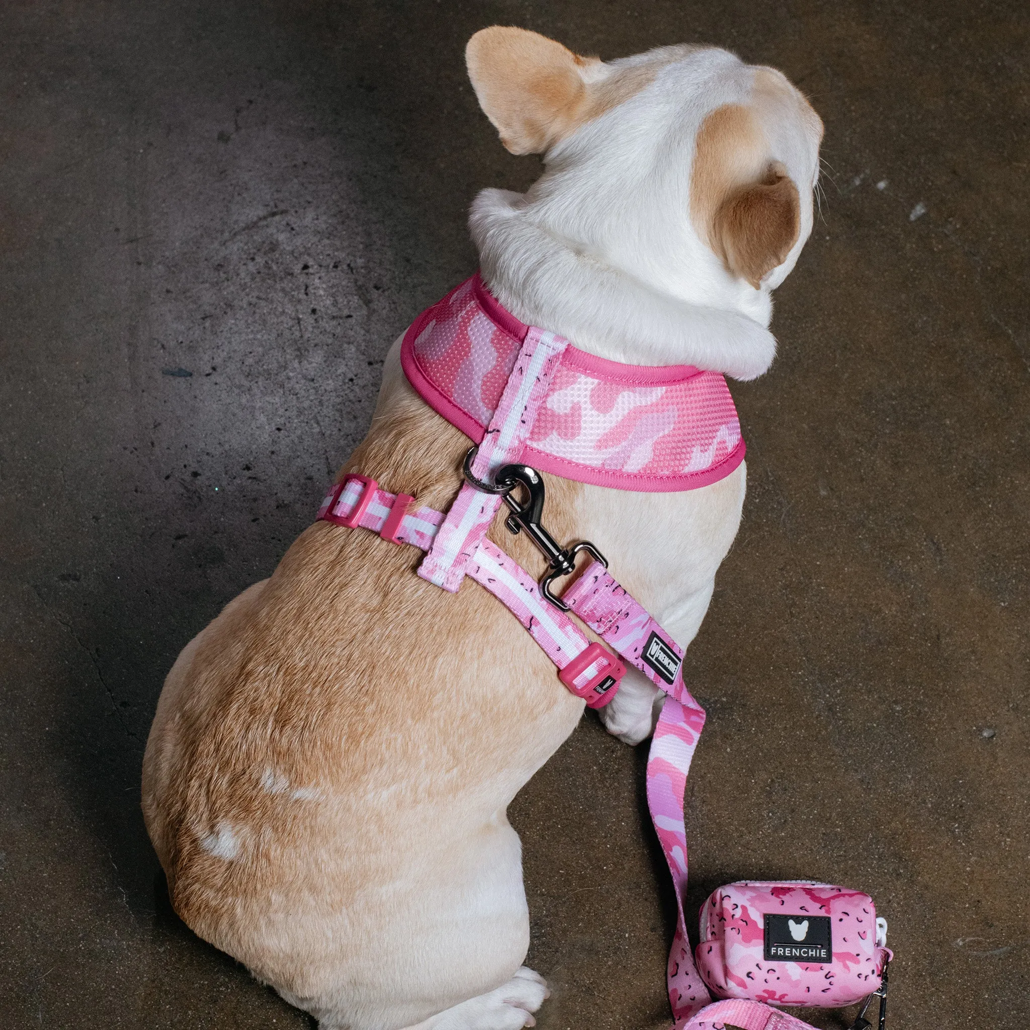 Frenchie Duo Reversible Harness - Desert Camo (Pink)