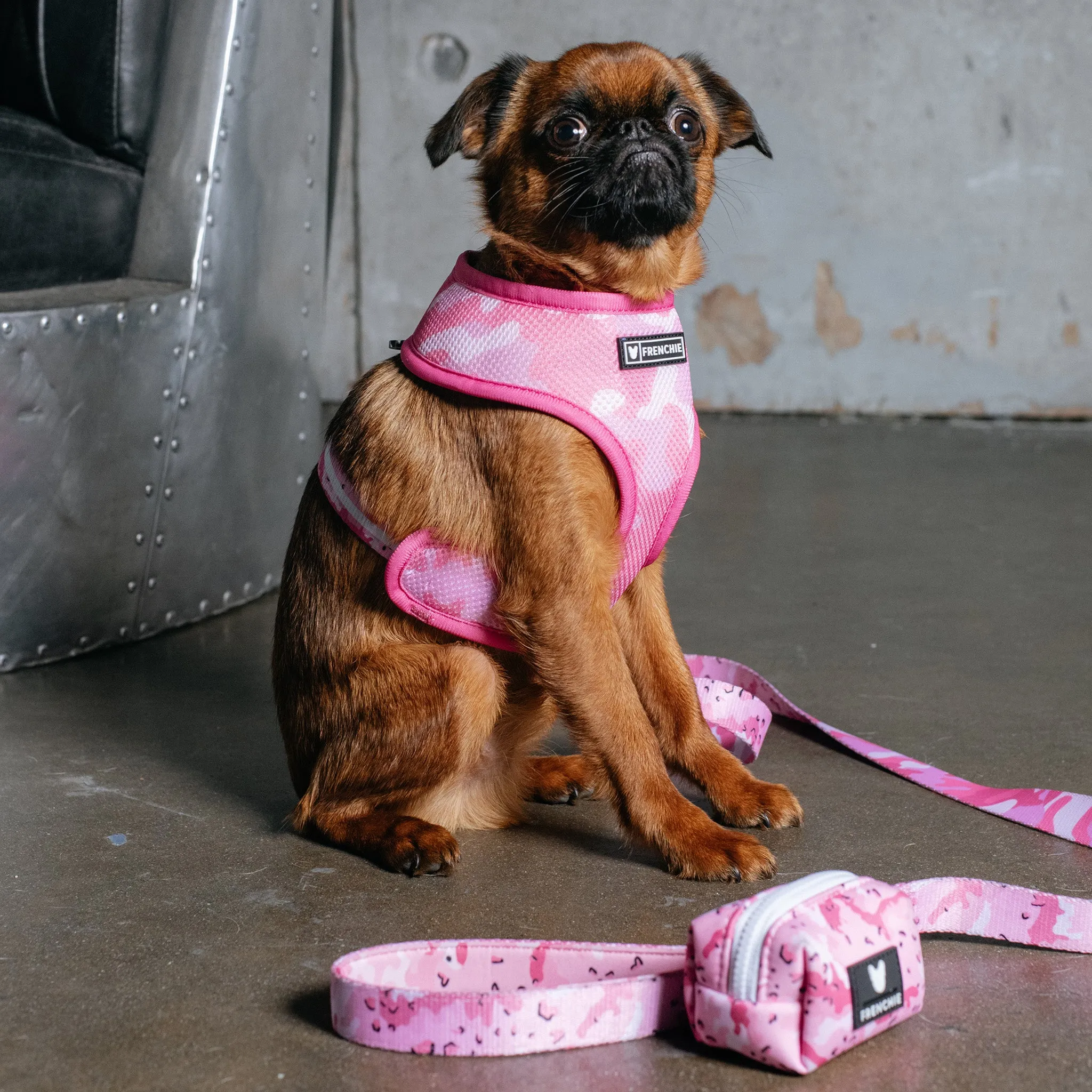 Frenchie Duo Reversible Harness - Desert Camo (Pink)