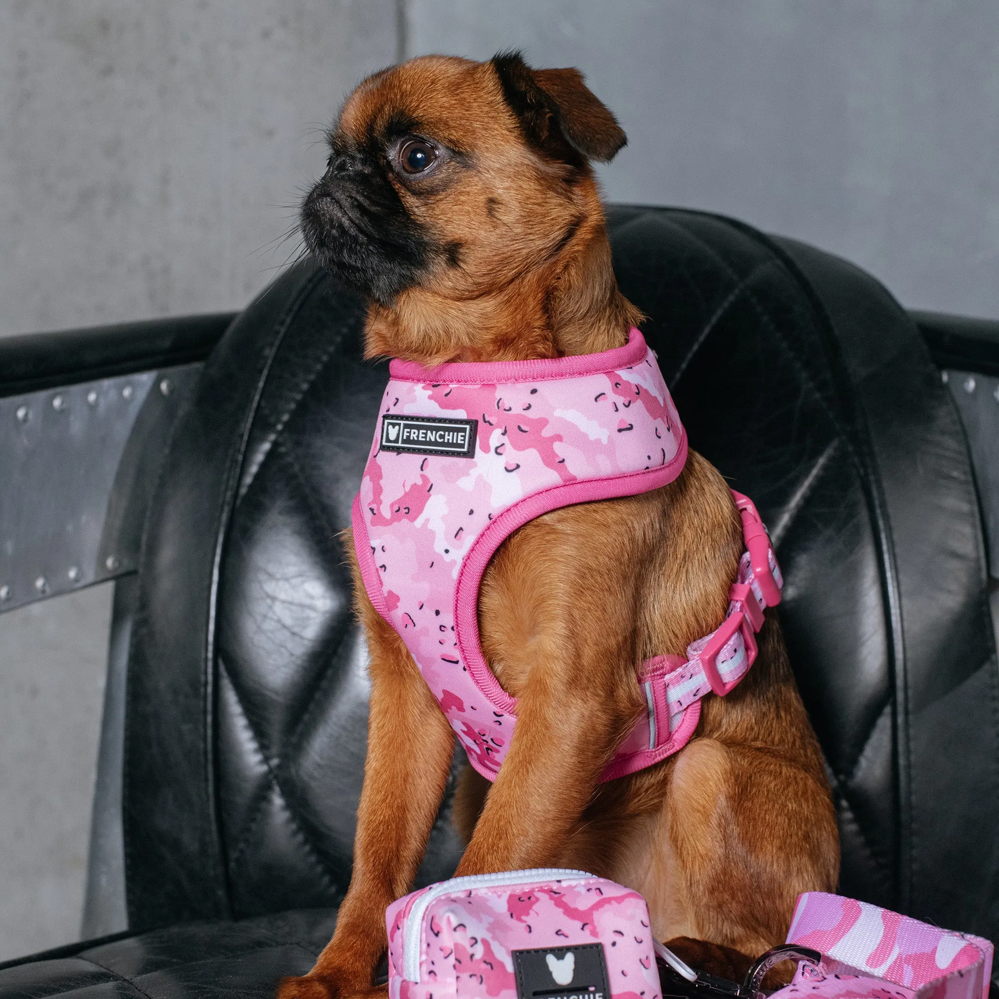 Frenchie Duo Reversible Harness - Desert Camo (Pink)