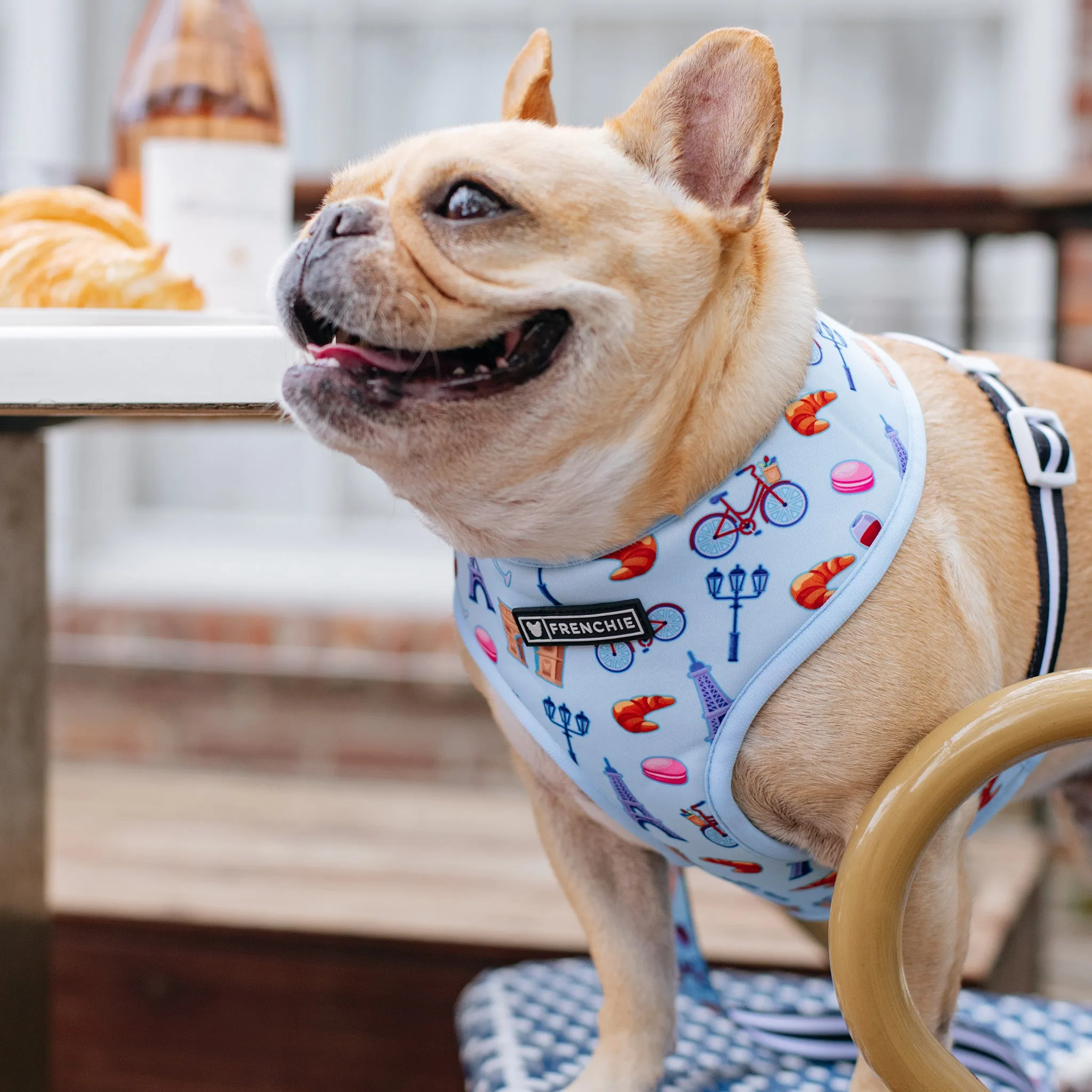 Frenchie Duo Reversible Harness - Frenchie in Paris