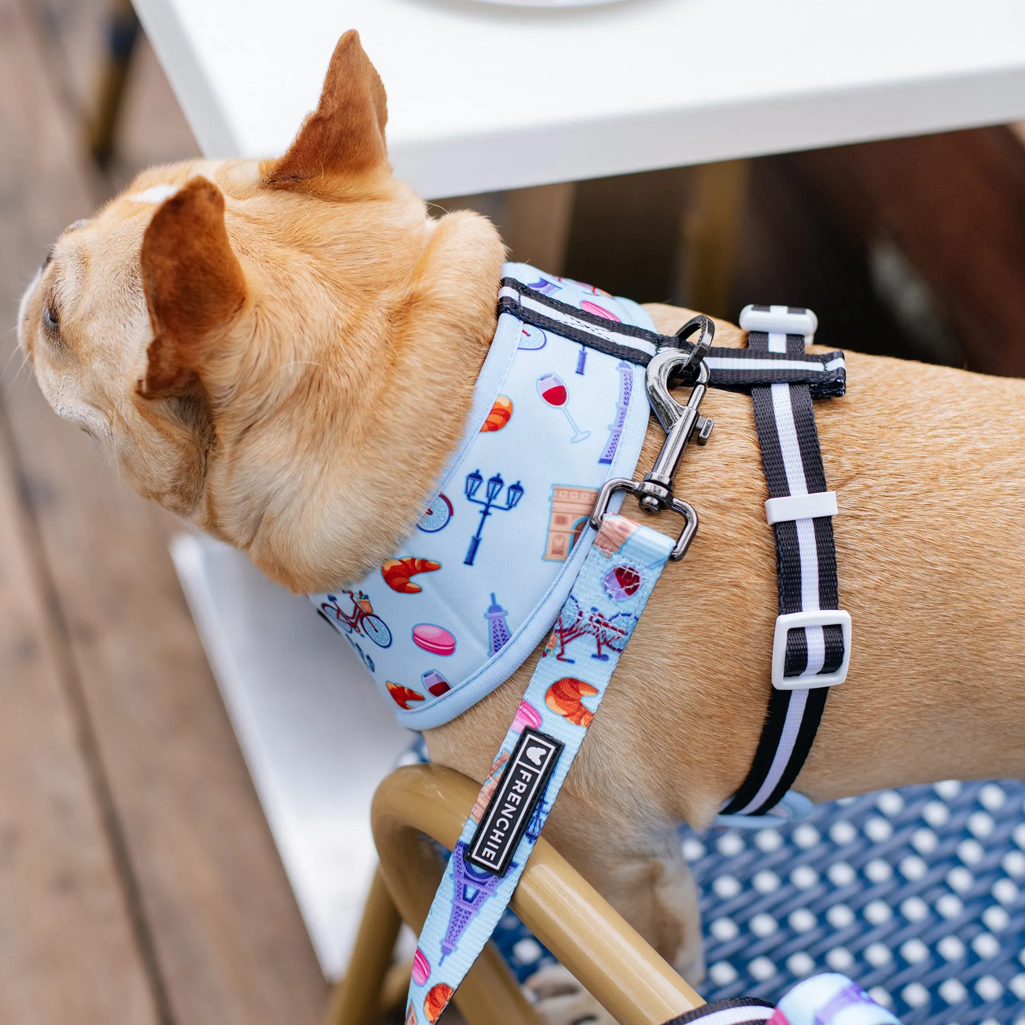 Frenchie Duo Reversible Harness - Frenchie in Paris