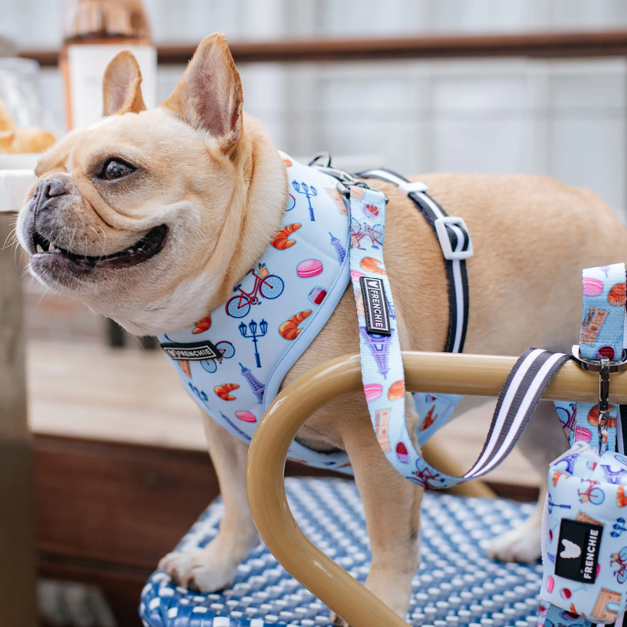 Frenchie Duo Reversible Harness - Frenchie in Paris