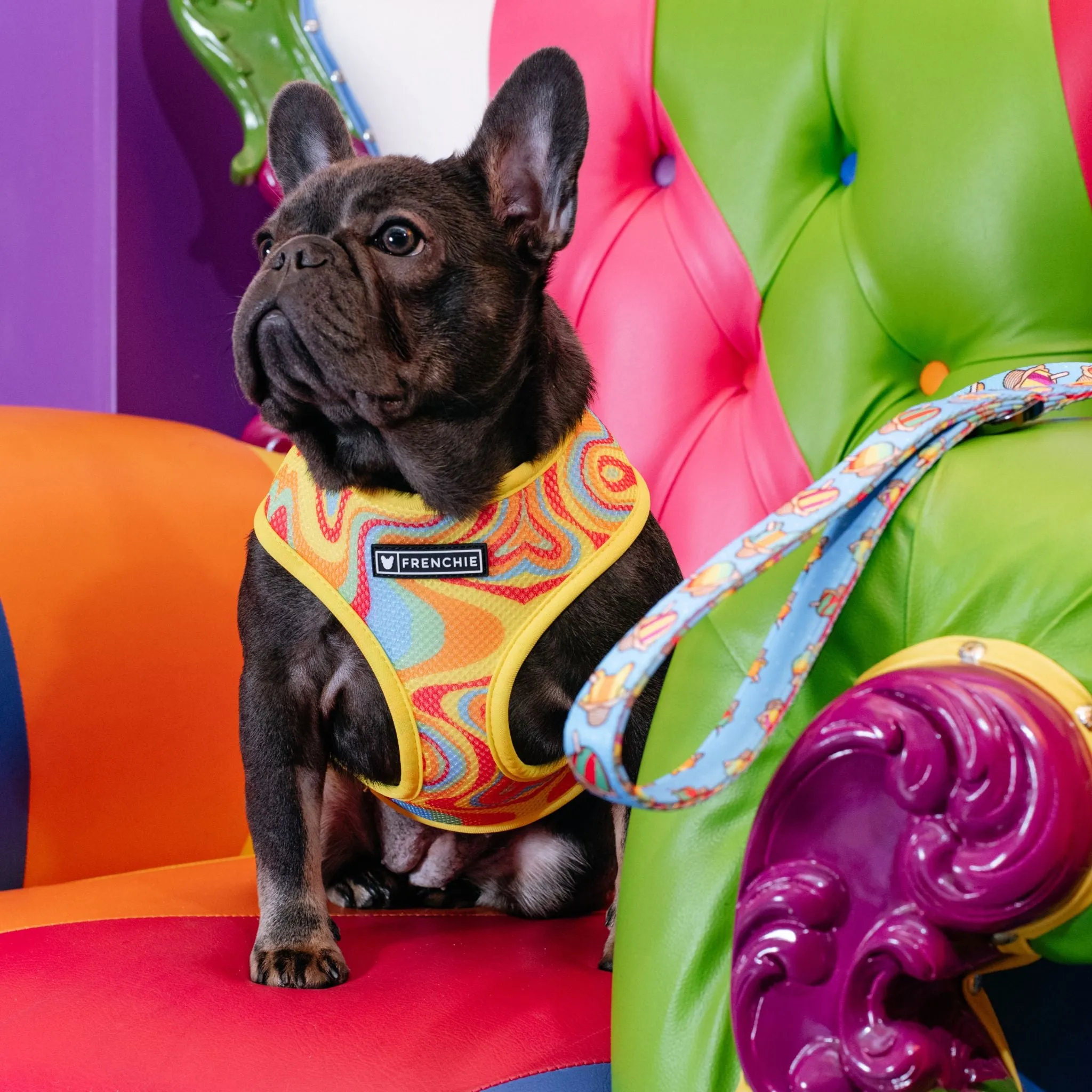 Frenchie Duo Reversible Harness - Rainbow Ice