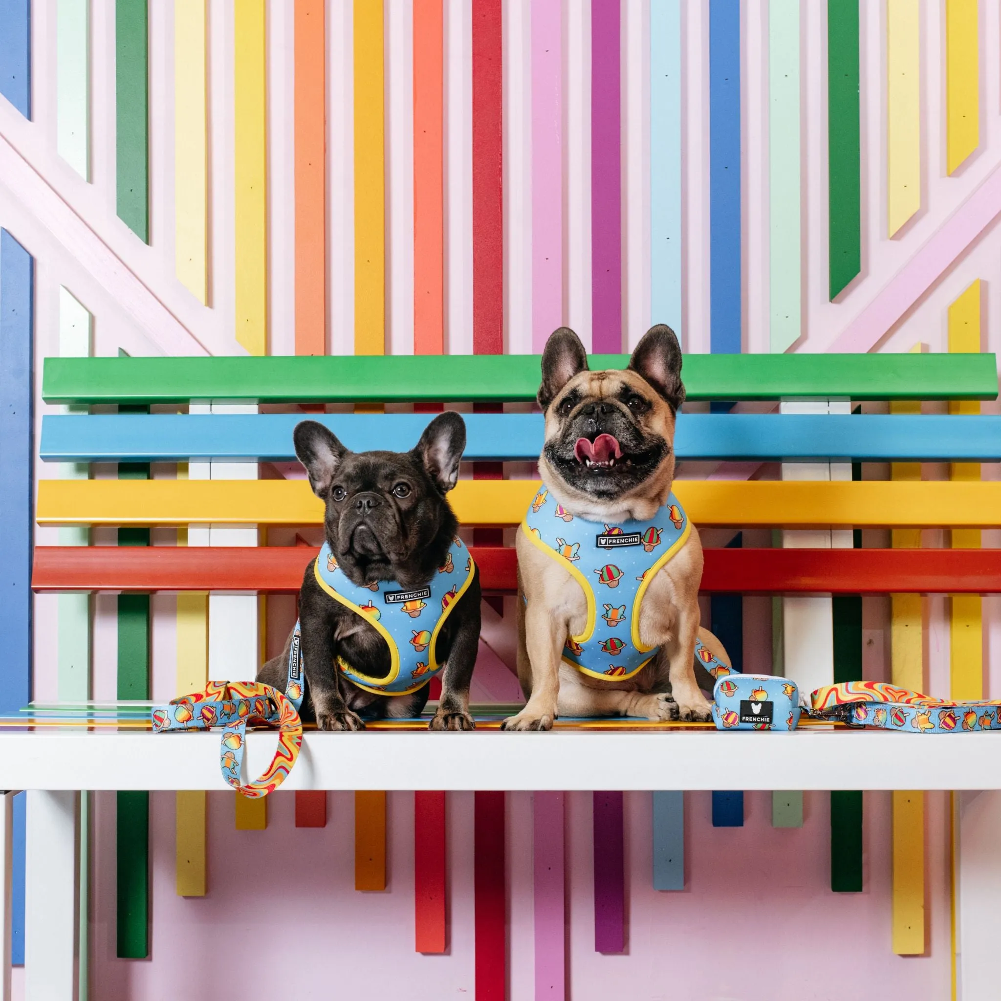 Frenchie Duo Reversible Harness - Rainbow Ice