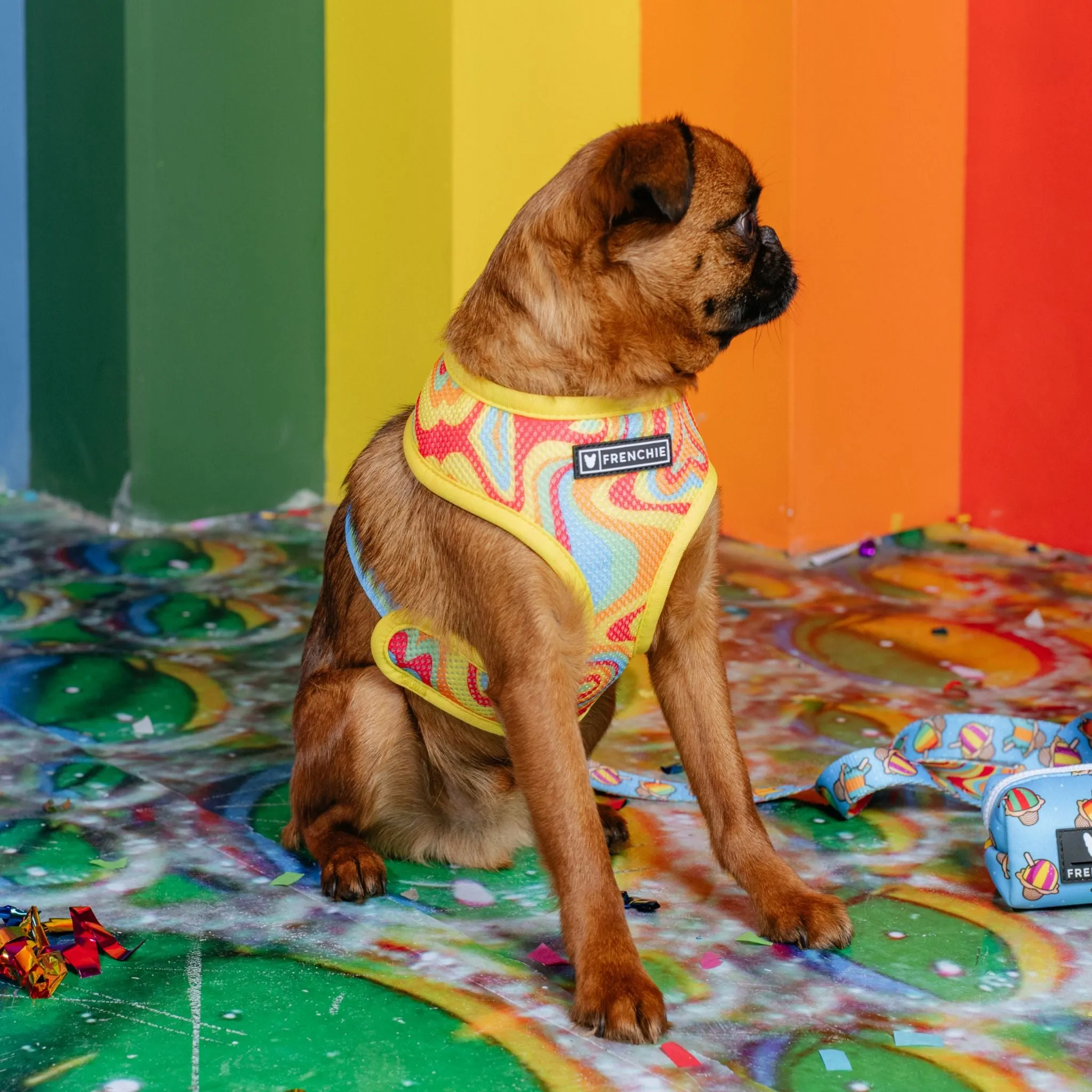 Frenchie Duo Reversible Harness - Rainbow Ice