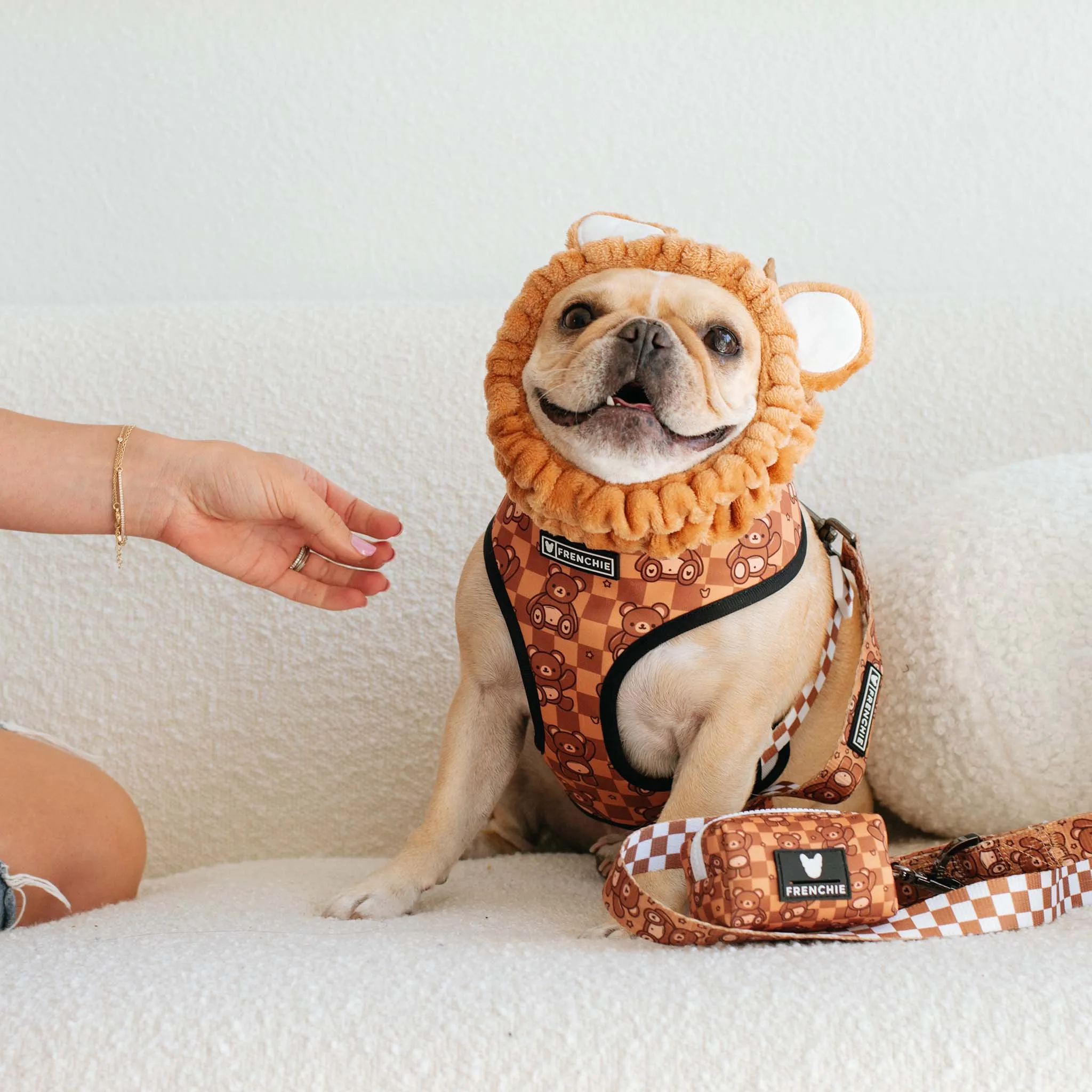 Frenchie Duo Reversible Harness - Teddy Bear