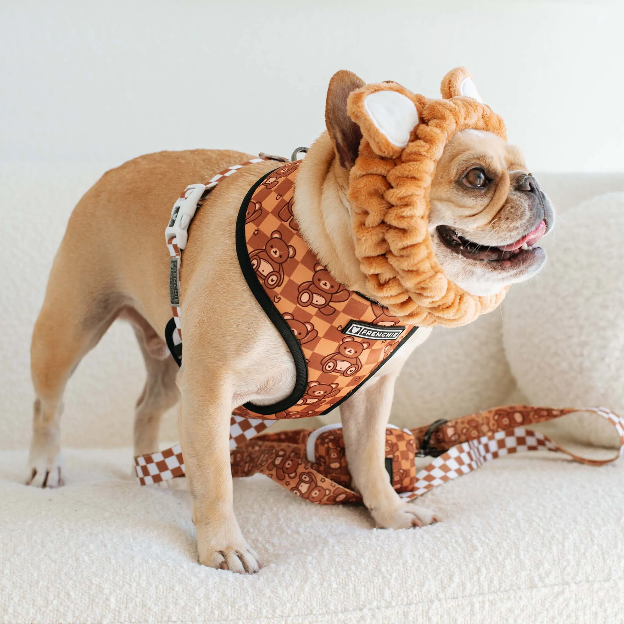 Frenchie Duo Reversible Harness - Teddy Bear