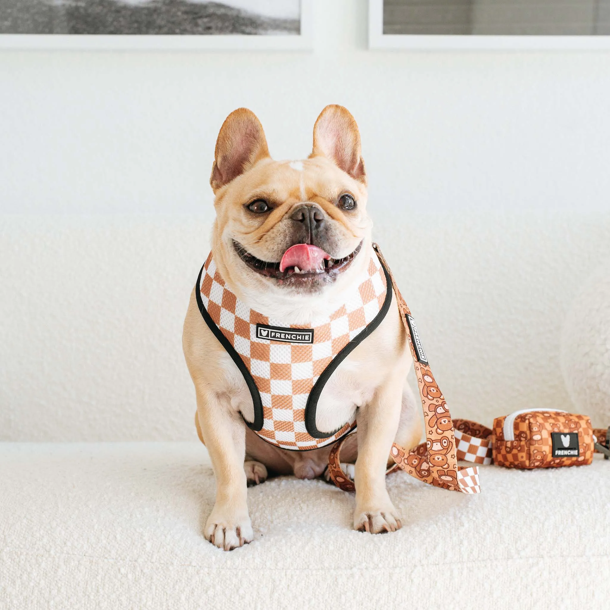 Frenchie Duo Reversible Harness - Teddy Bear