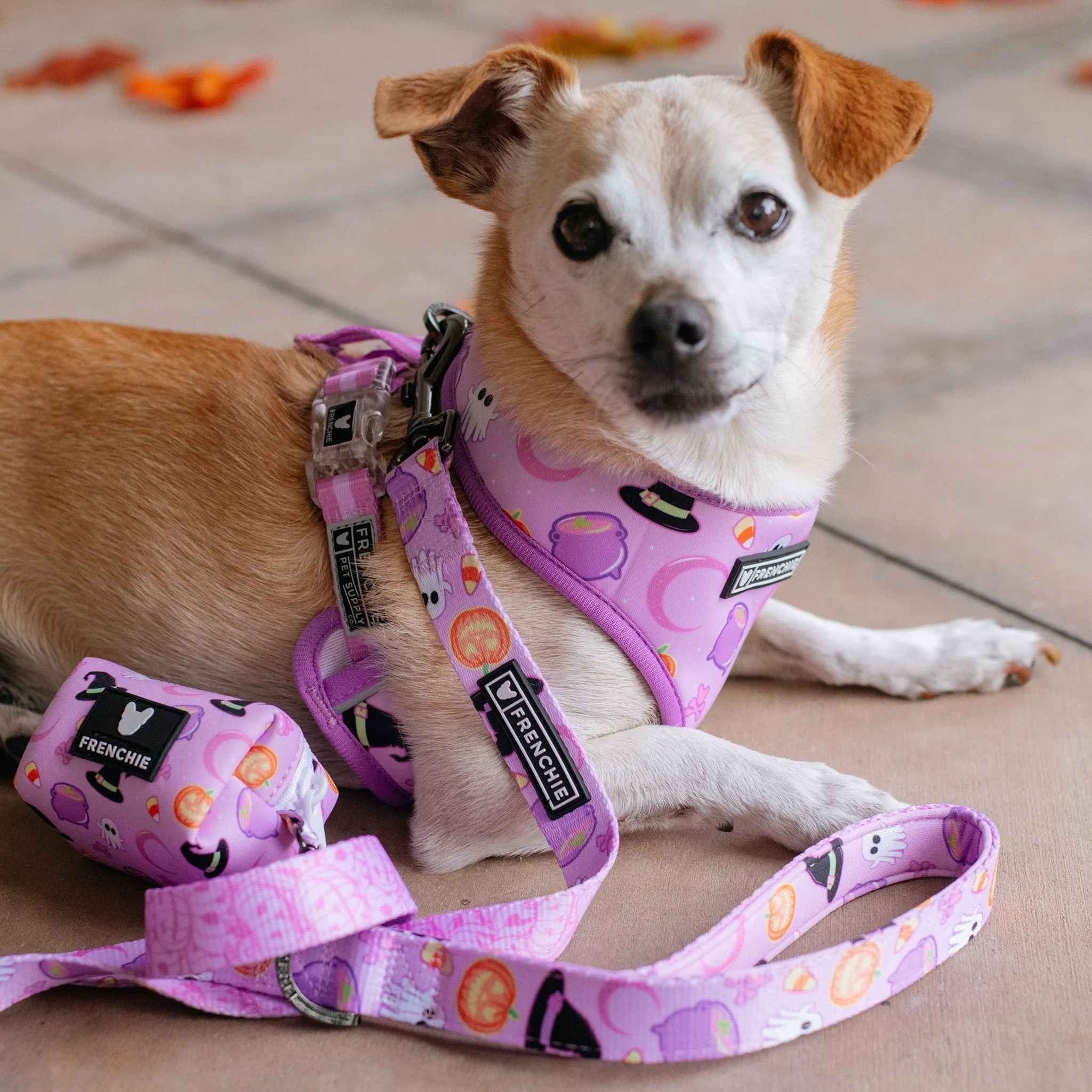 Frenchie Duo Reversible Harness - Witches Brew (Purple)