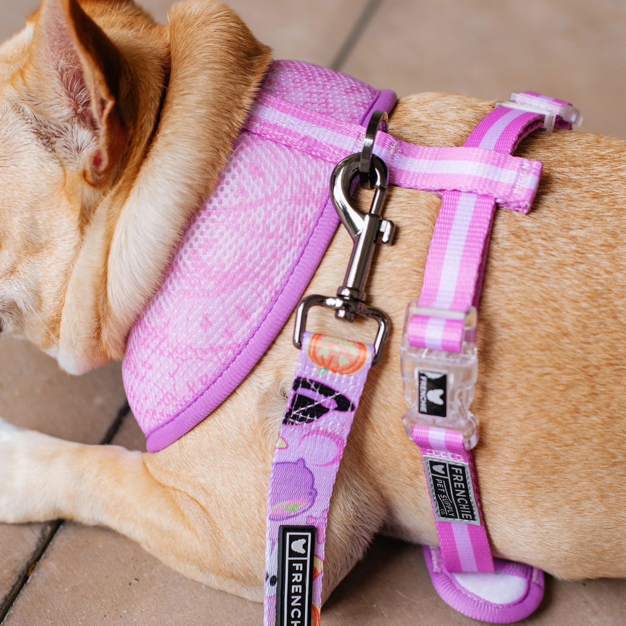 Frenchie Duo Reversible Harness - Witches Brew (Purple)