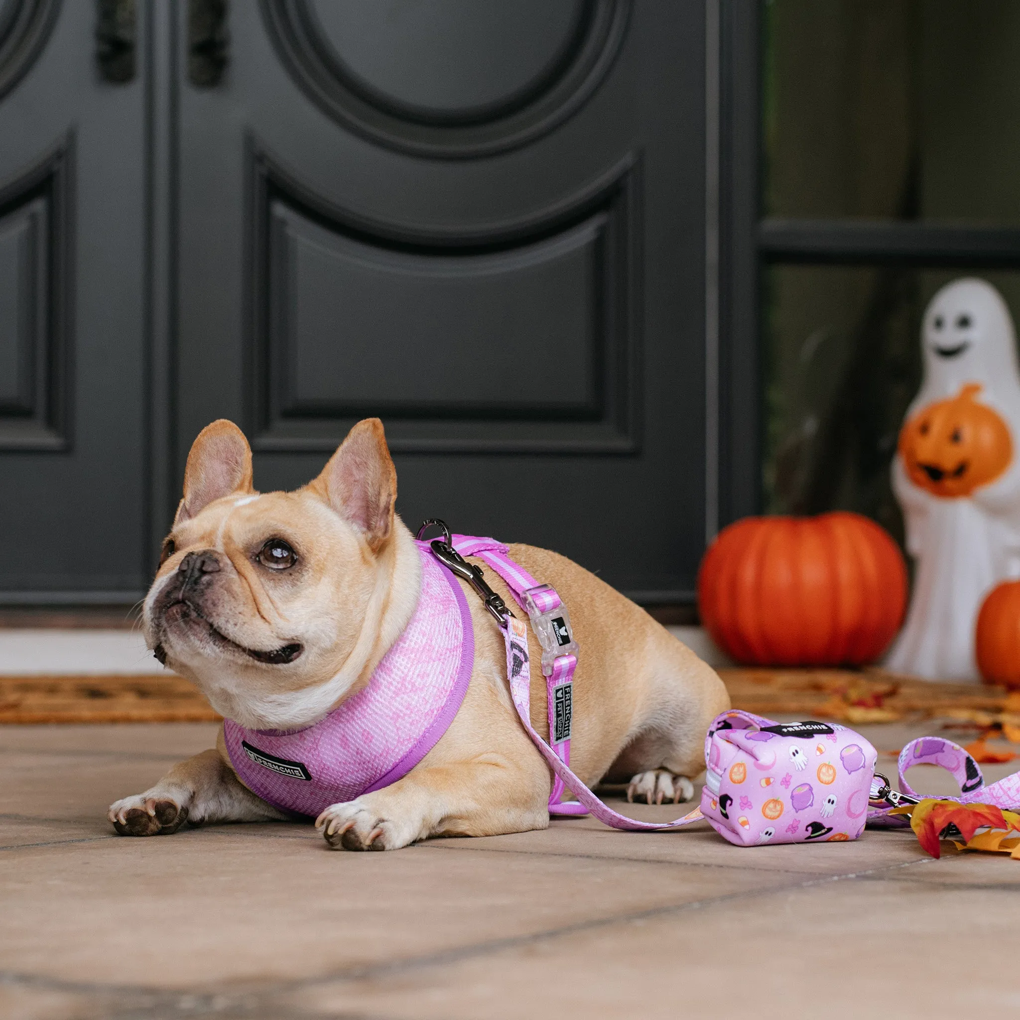 Frenchie Duo Reversible Harness - Witches Brew (Purple)