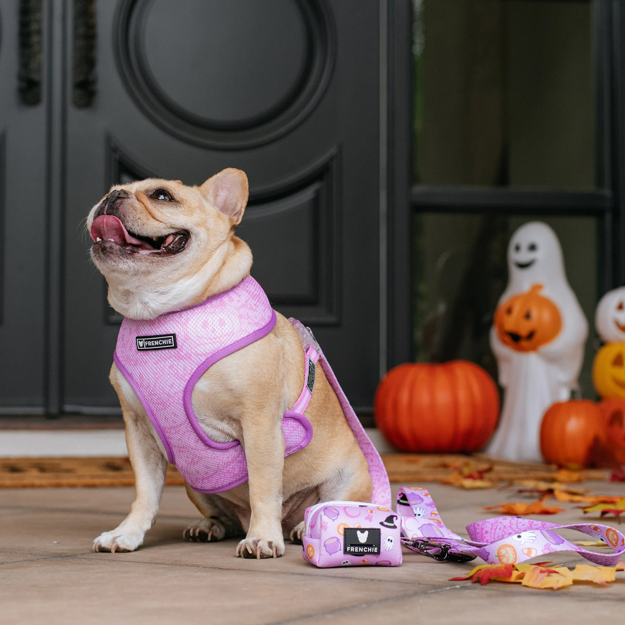 Frenchie Duo Reversible Harness - Witches Brew (Purple)