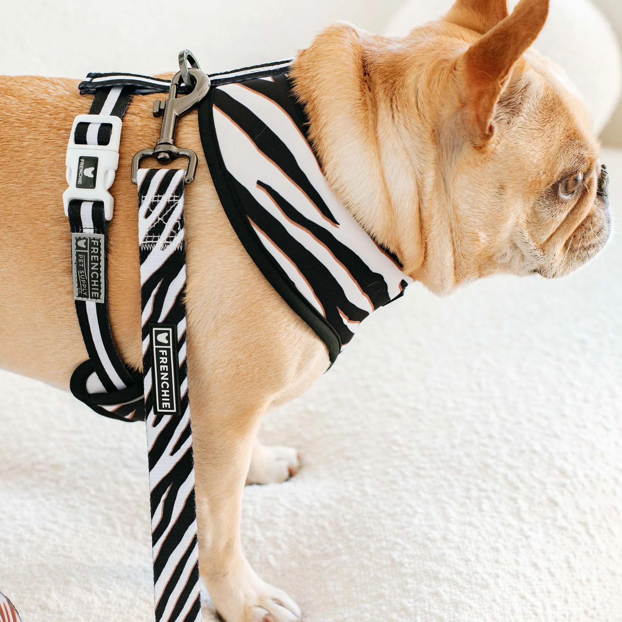 Frenchie Duo Reversible Harness - Zebra