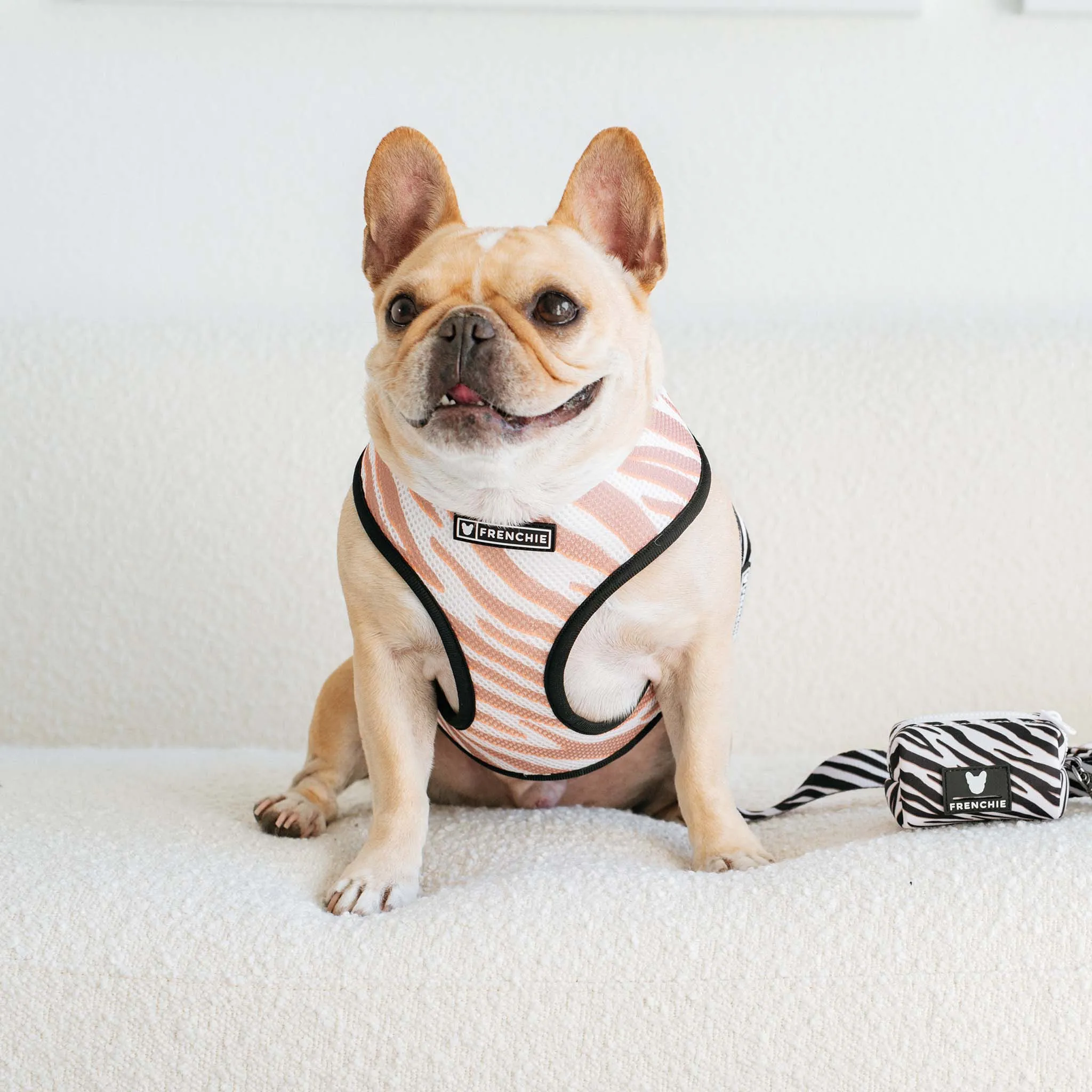 Frenchie Duo Reversible Harness - Zebra