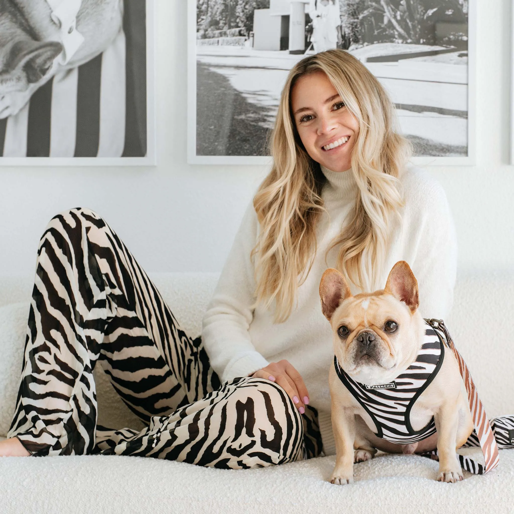 Frenchie Duo Reversible Harness - Zebra