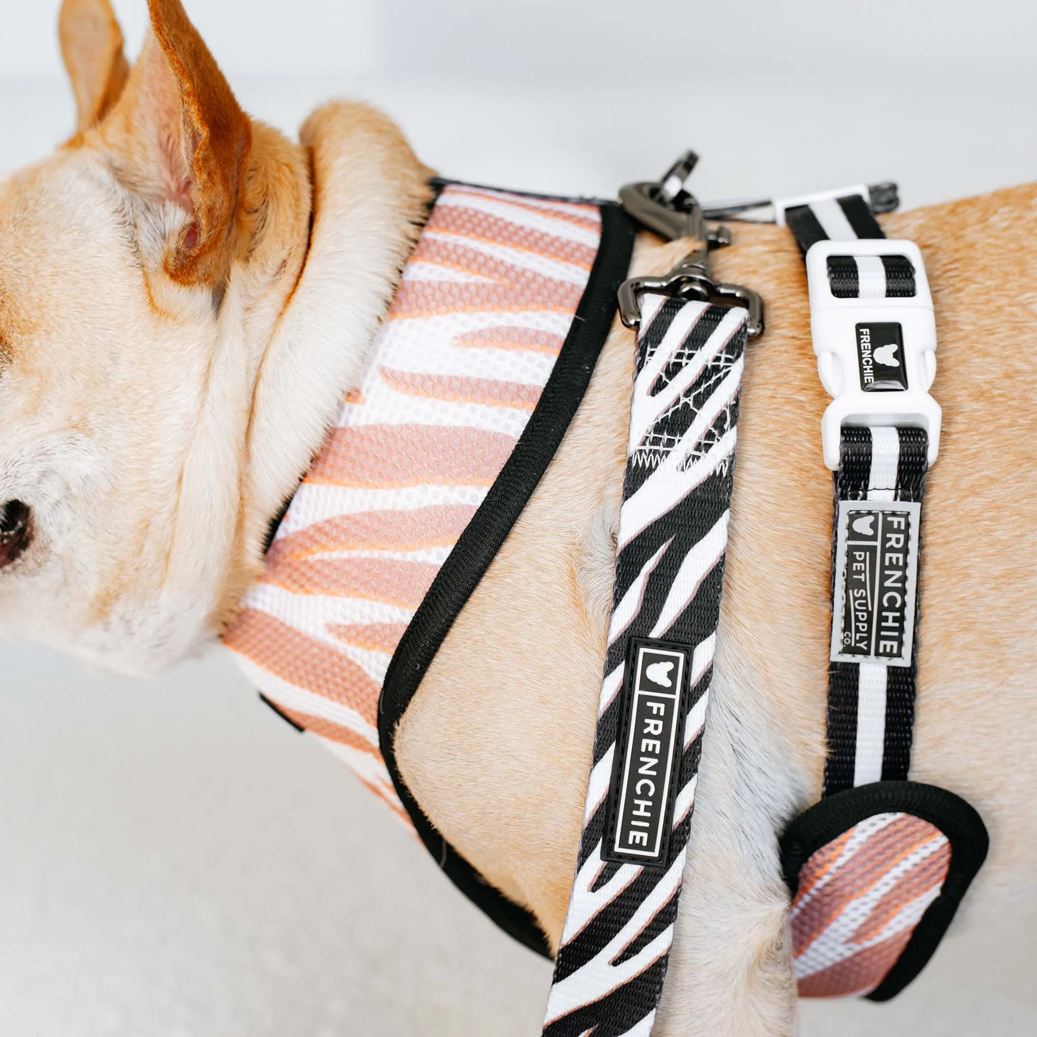 Frenchie Duo Reversible Harness - Zebra