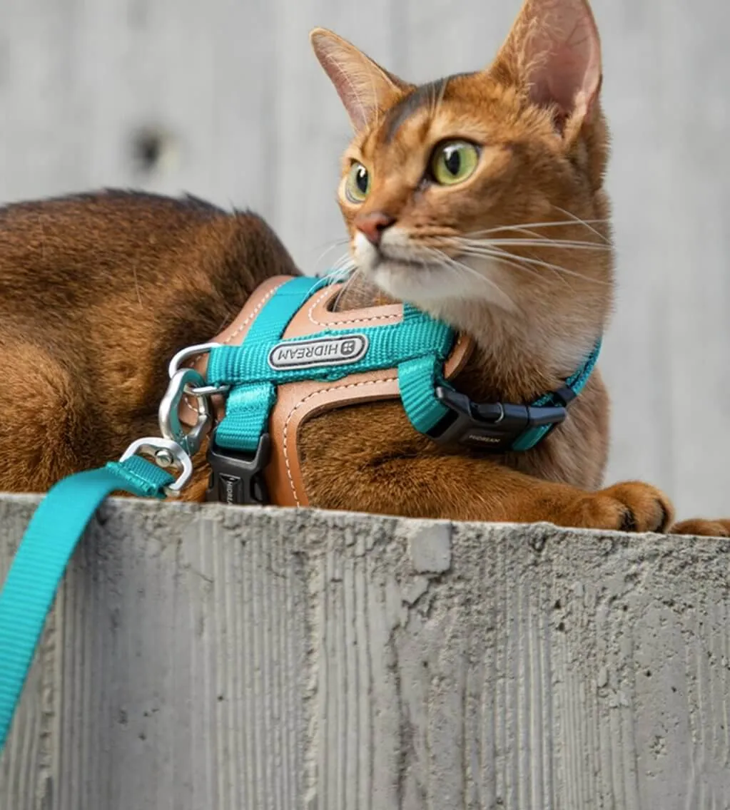 HiDREAM Cat Harness & Leash Set Adjustable Breathable Vest with Reflective Design