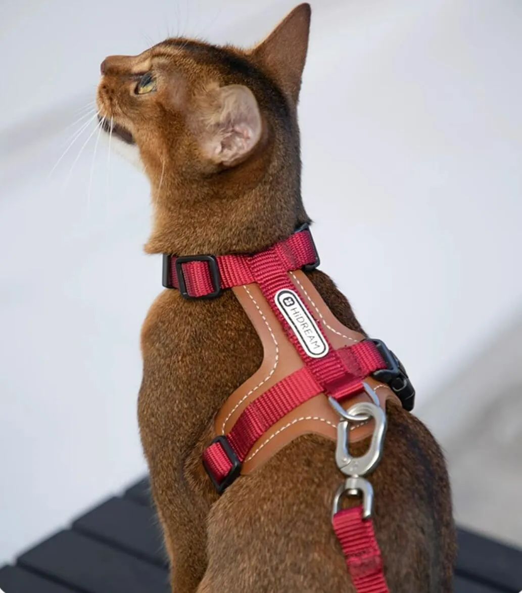 HiDREAM Cat Harness & Leash Set Adjustable Breathable Vest with Reflective Design