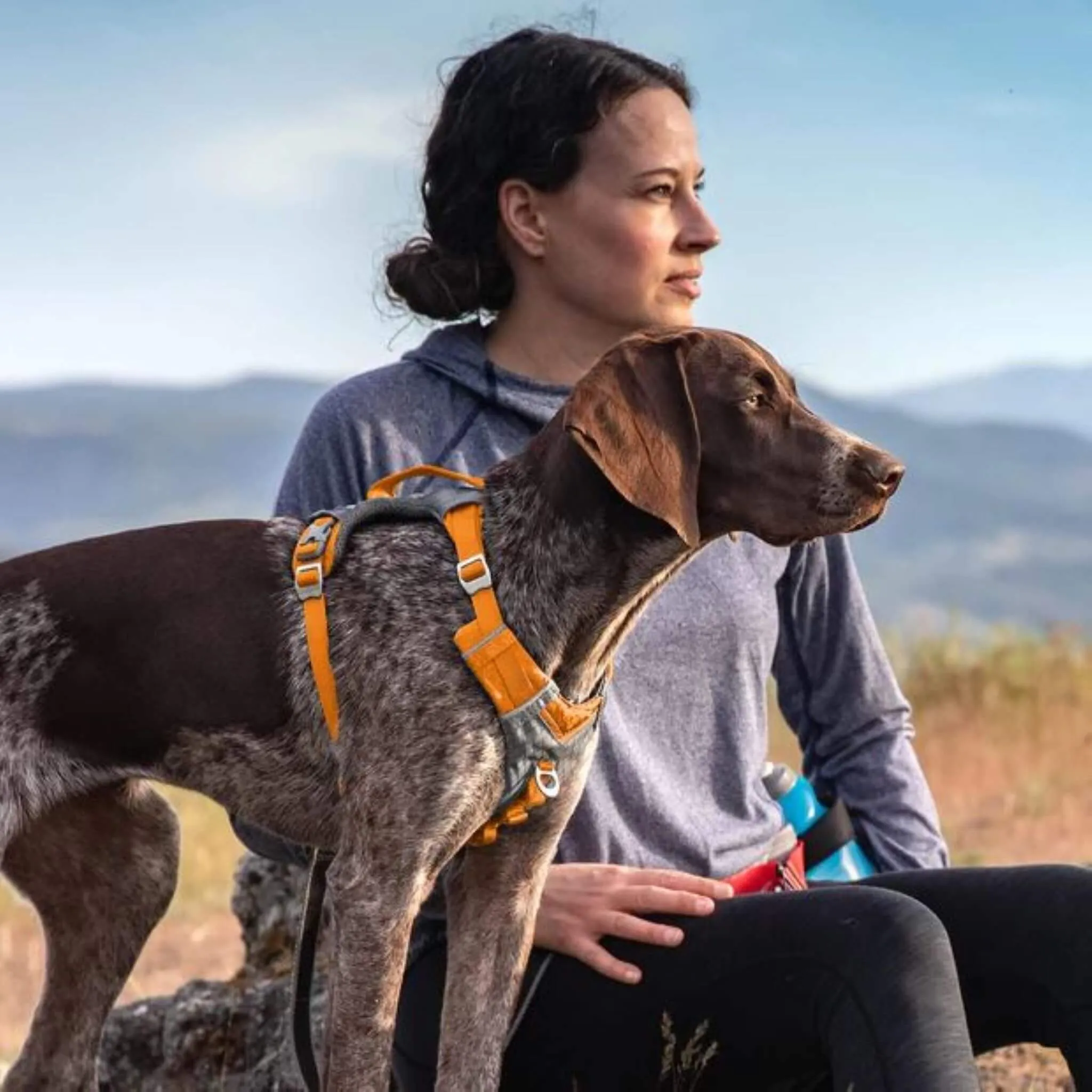 Journey Air Dog Harness