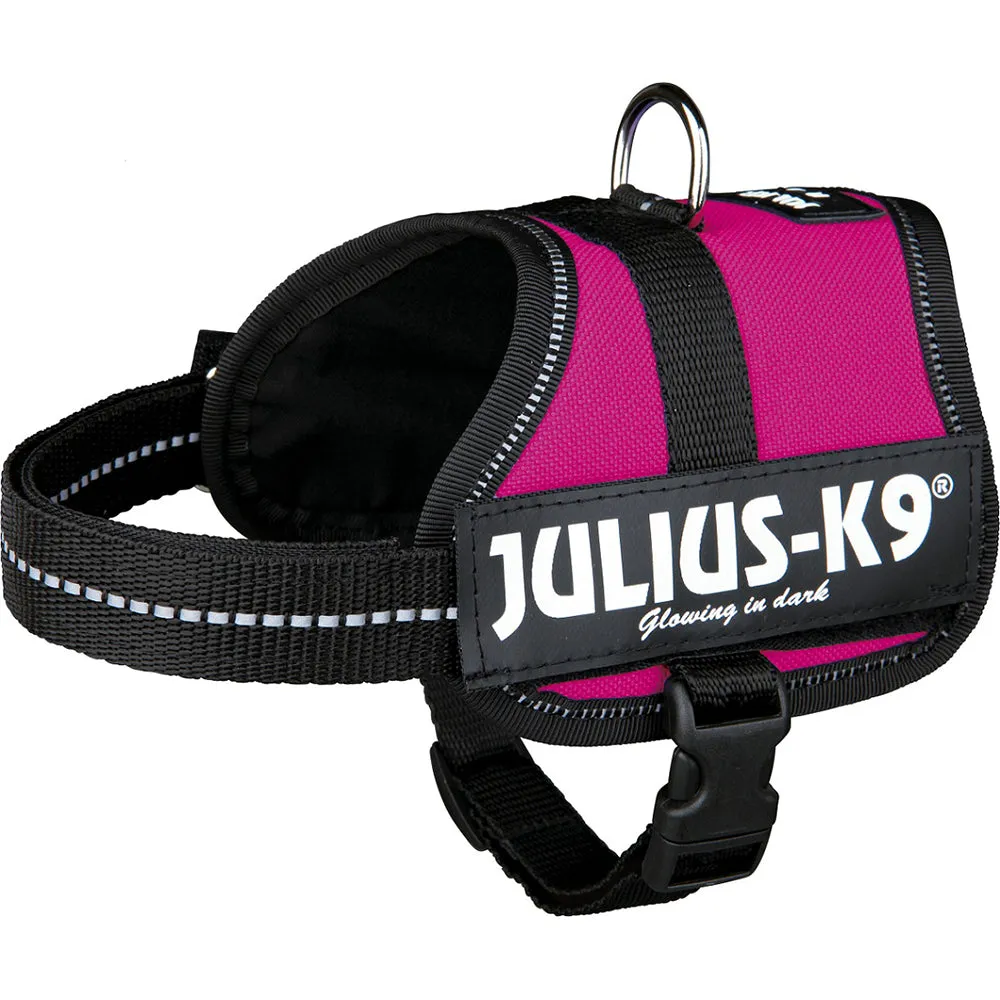 Julius-K9 Power Harness Pink