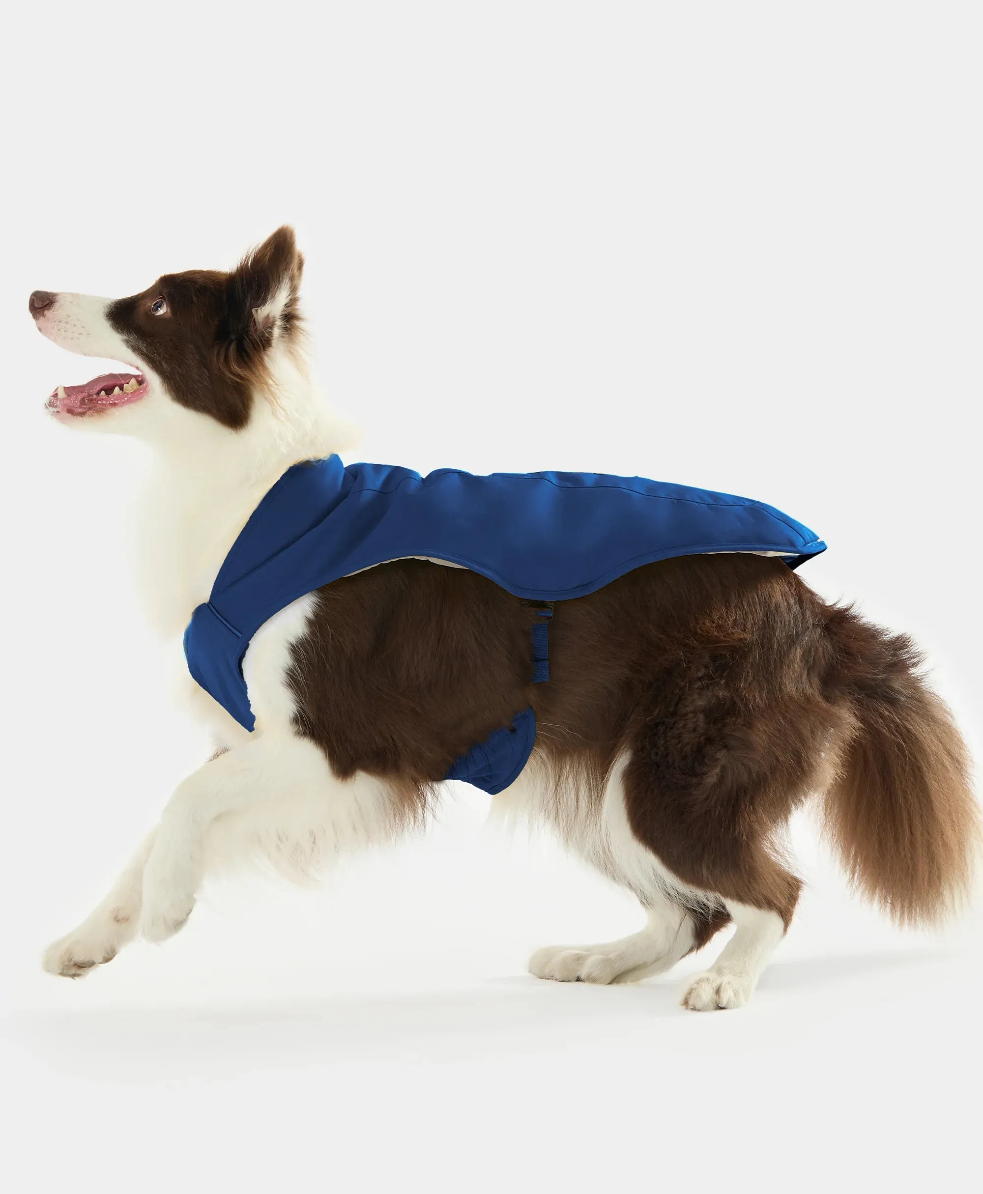 Koldpwoof Heated Dog Vest