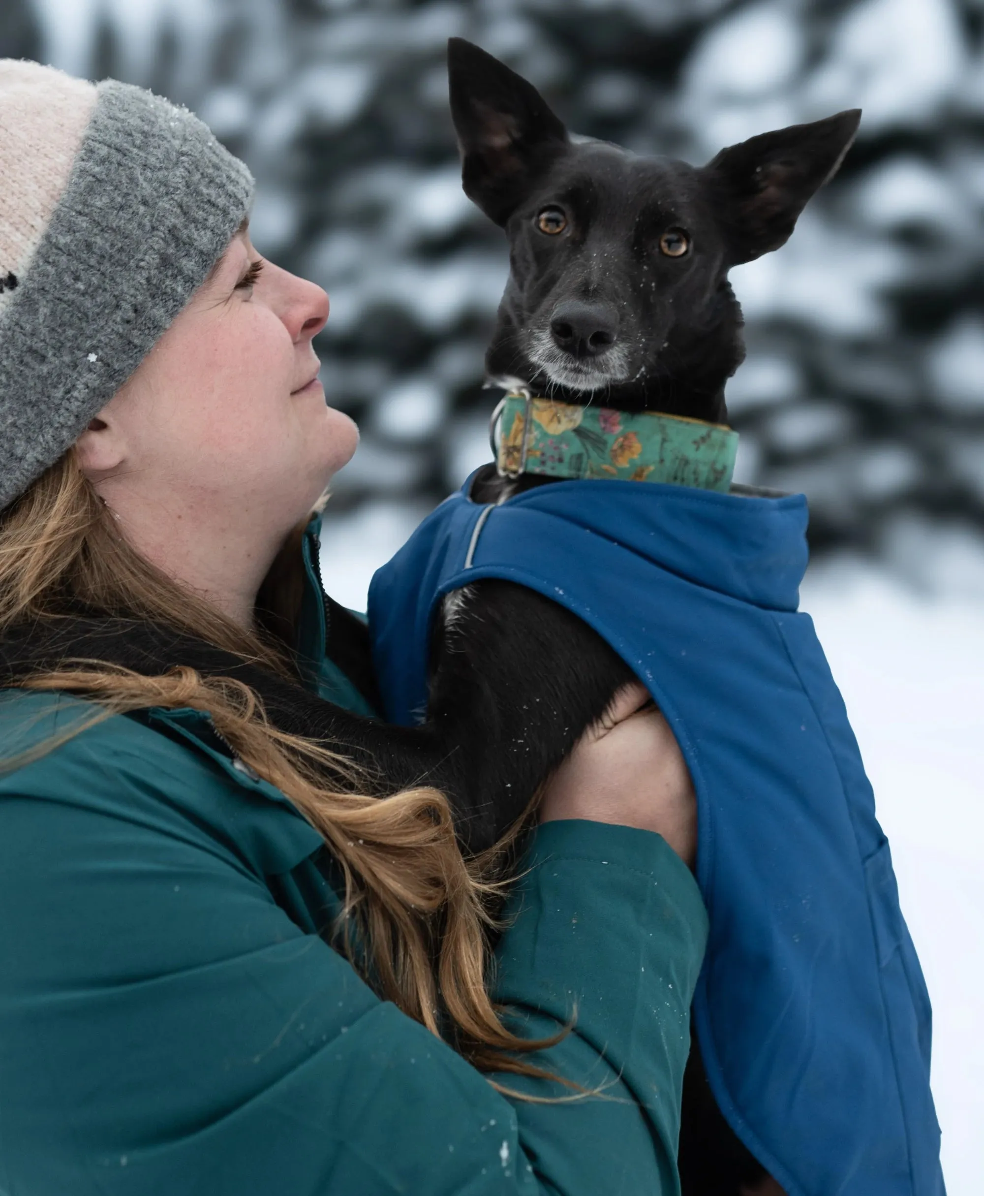 Koldpwoof Heated Dog Vest