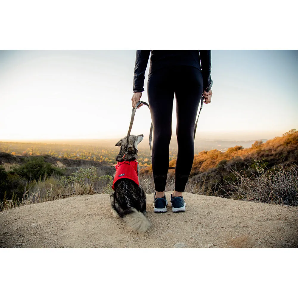 Martingale Dog Harness