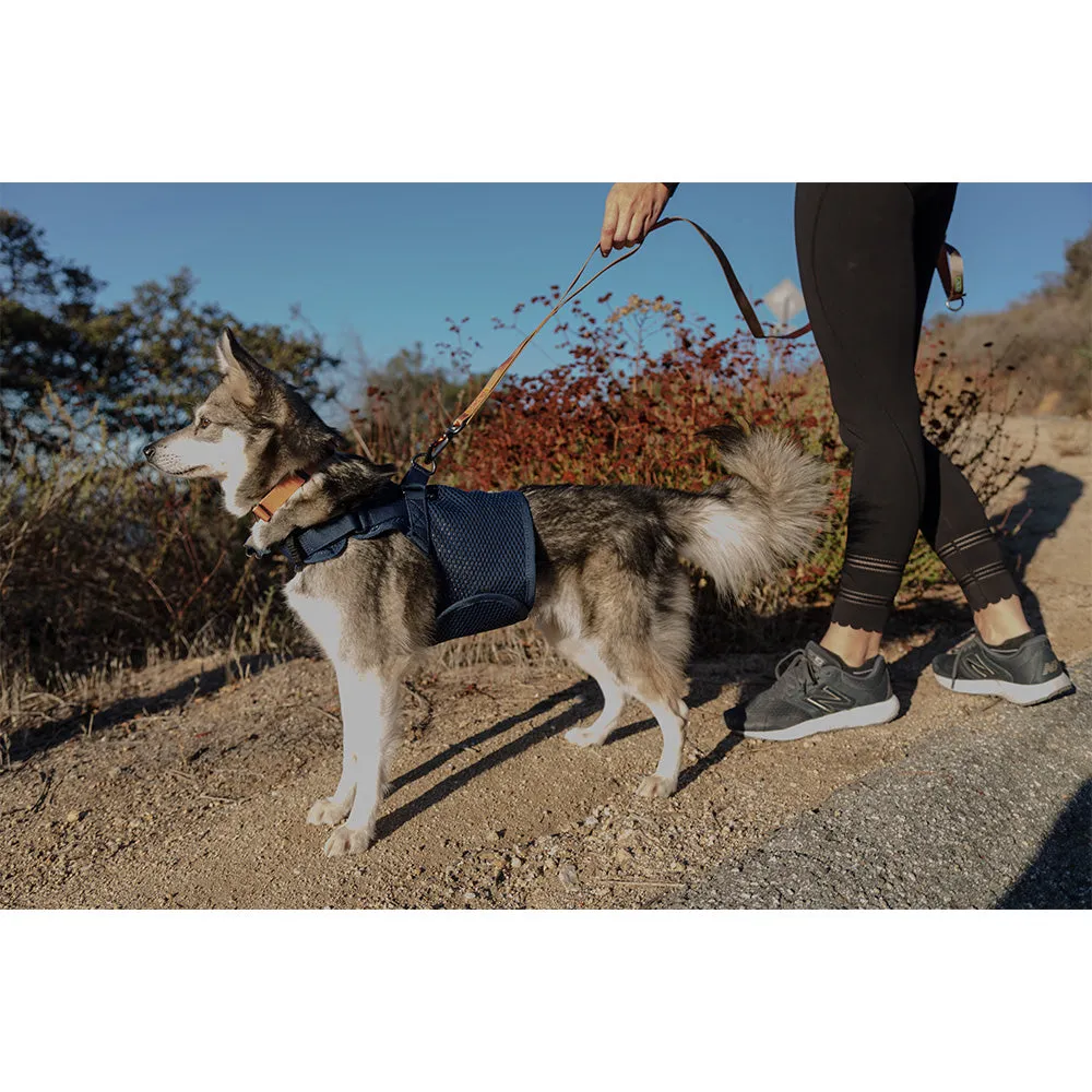 Martingale Dog Harness