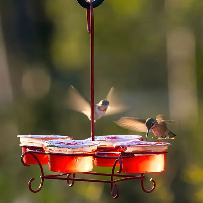 More Birds Nectar Pods Wireform Hummingbird Feeder