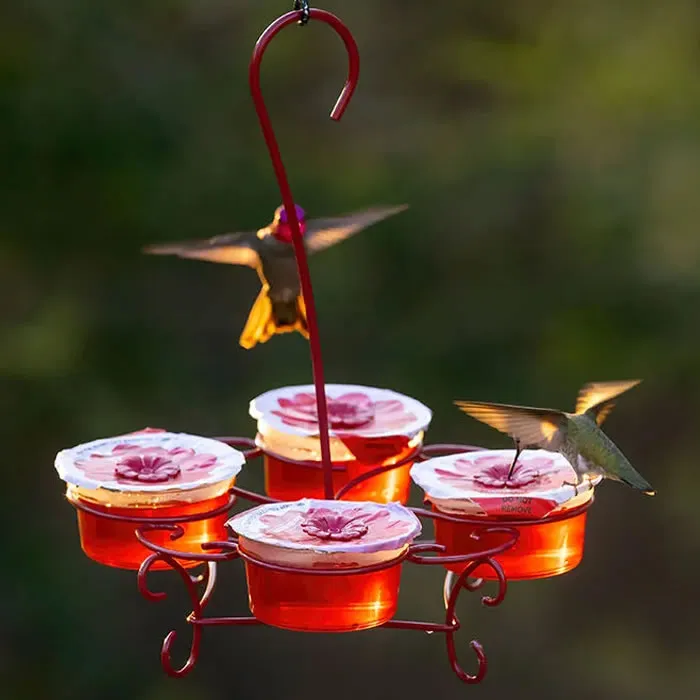 More Birds Nectar Pods Wireform Hummingbird Feeder