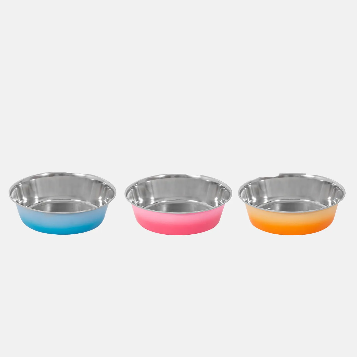 Ombre Stainless Steel Pet Bowl