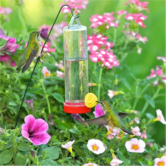 Planter Box Hummingbird Feeder