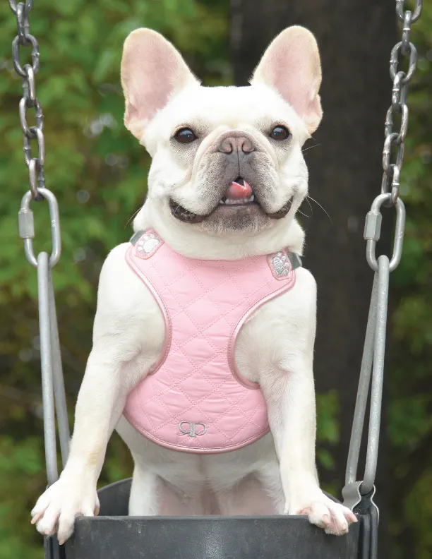 Pretty Paw Step-in Harness