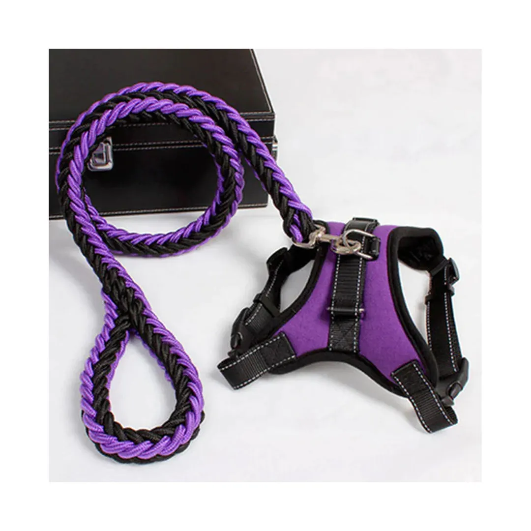 Reflective Dog Leash and Harness Set